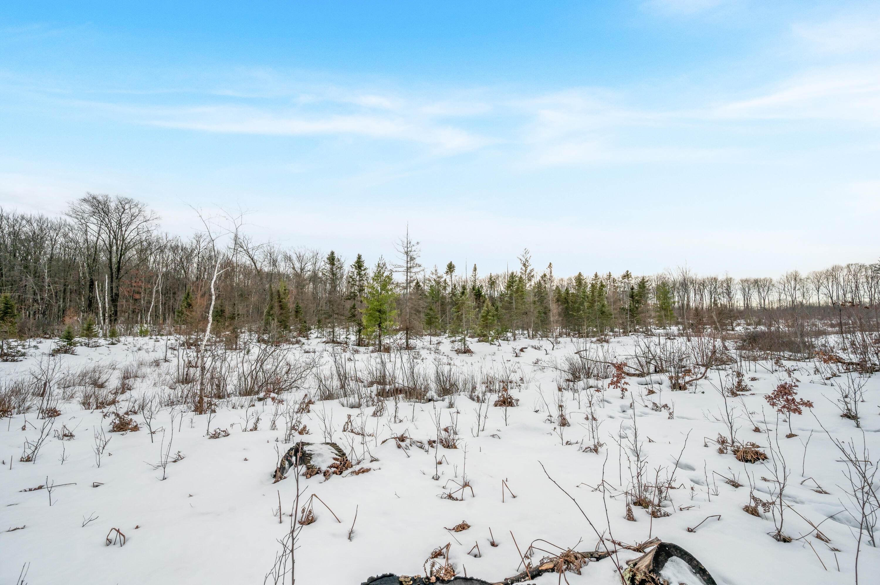 16107 12 Mile Road Leroy, MI 49655 - Photo 27 of 35 16107-12MileRd-LeRoy-47