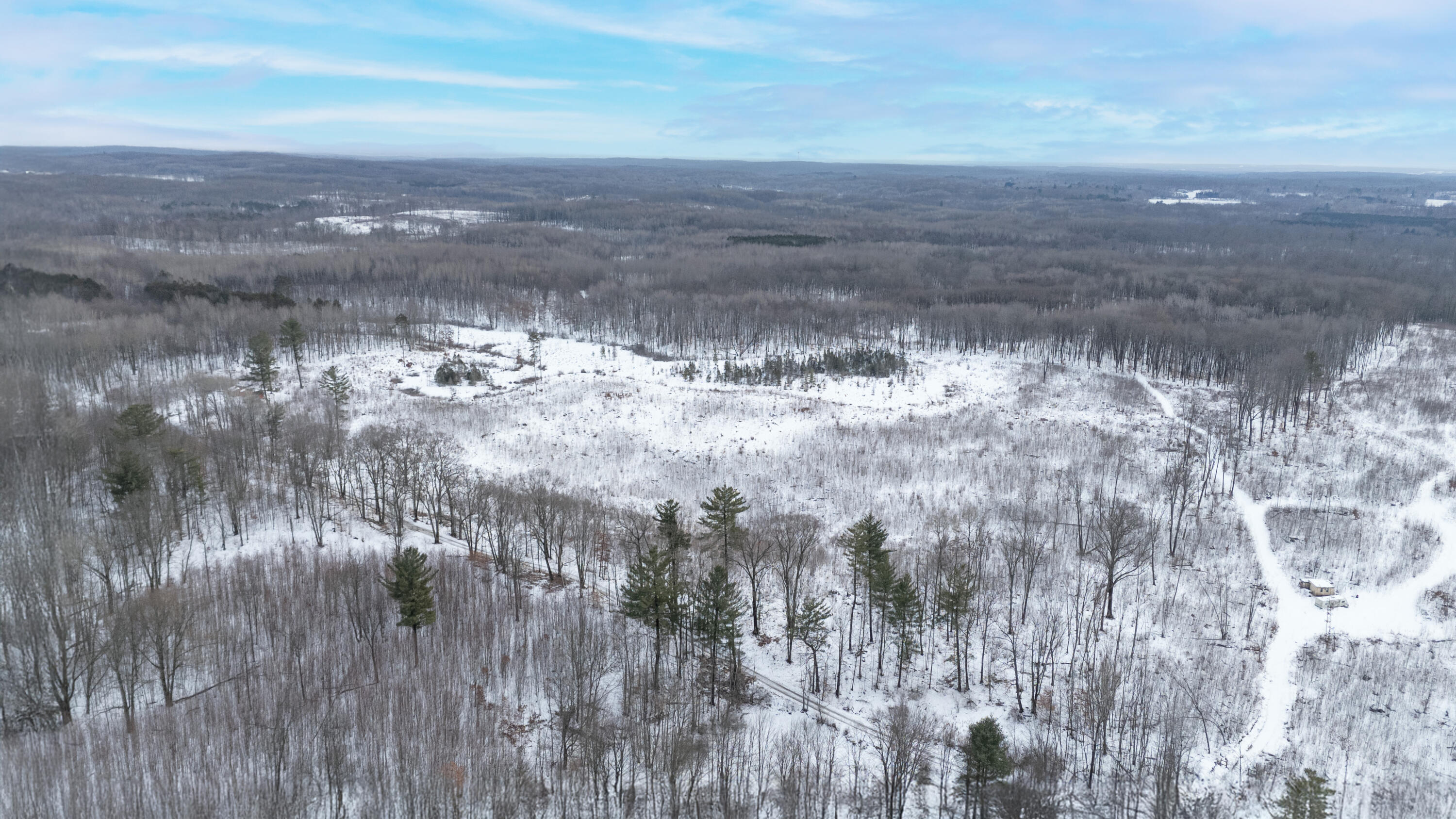 16107 12 Mile Road Leroy, MI 49655 - Photo 29 of 35 16107-12MileRd-LeRoy-58