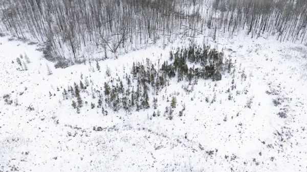 $212,900 | 16107 12 Mile Road, Leroy, MI 49655