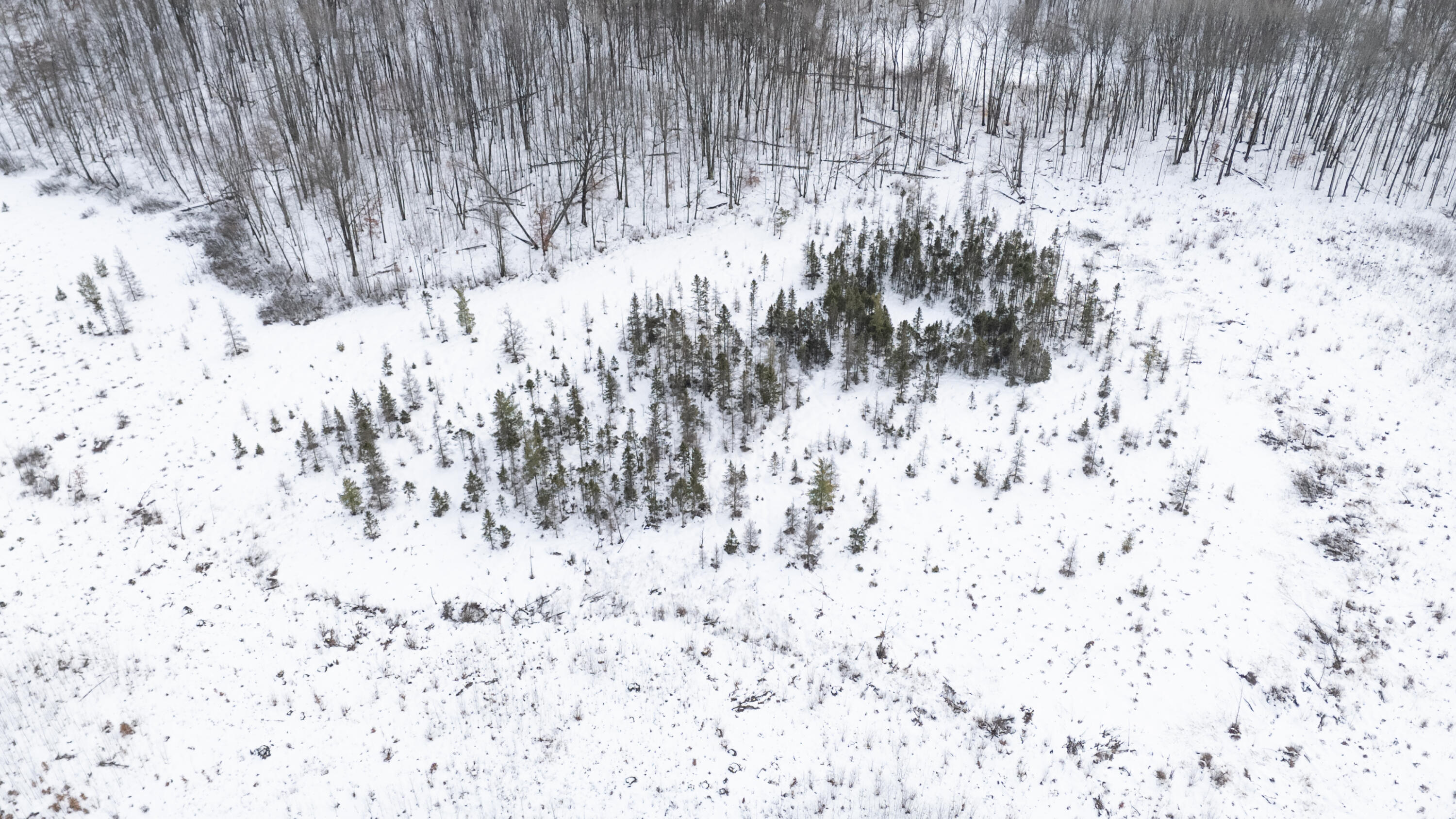 16107 12 Mile Road Leroy, MI 49655 - Photo 30 of 35 16107-12MileRd-LeRoy-59