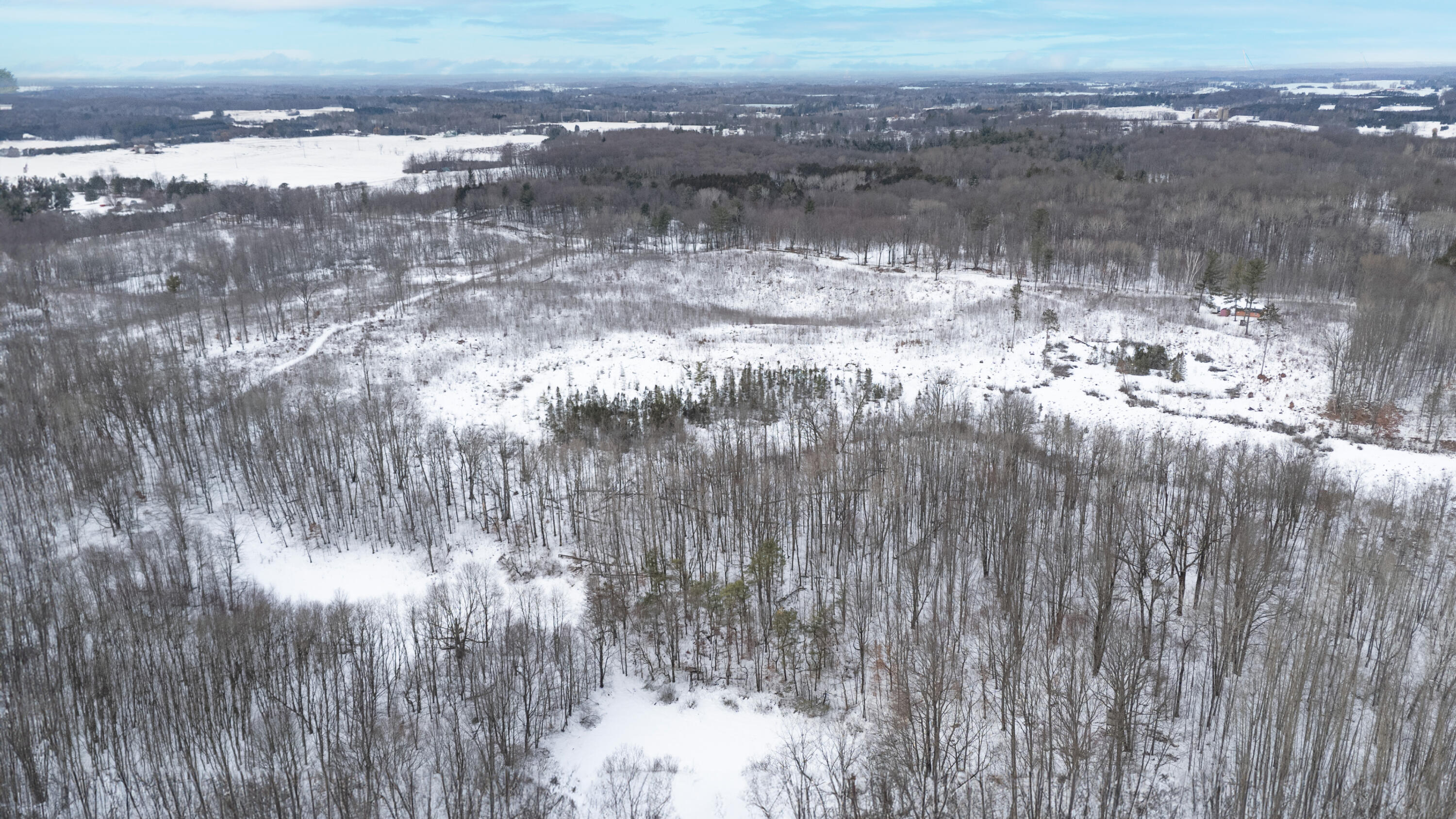 16107 12 Mile Road Leroy, MI 49655 - Photo 31 of 35 16107-12MileRd-LeRoy-61