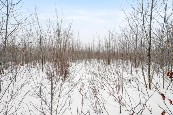 $212,900 | 16107 12 Mile Road, Leroy, MI 49655