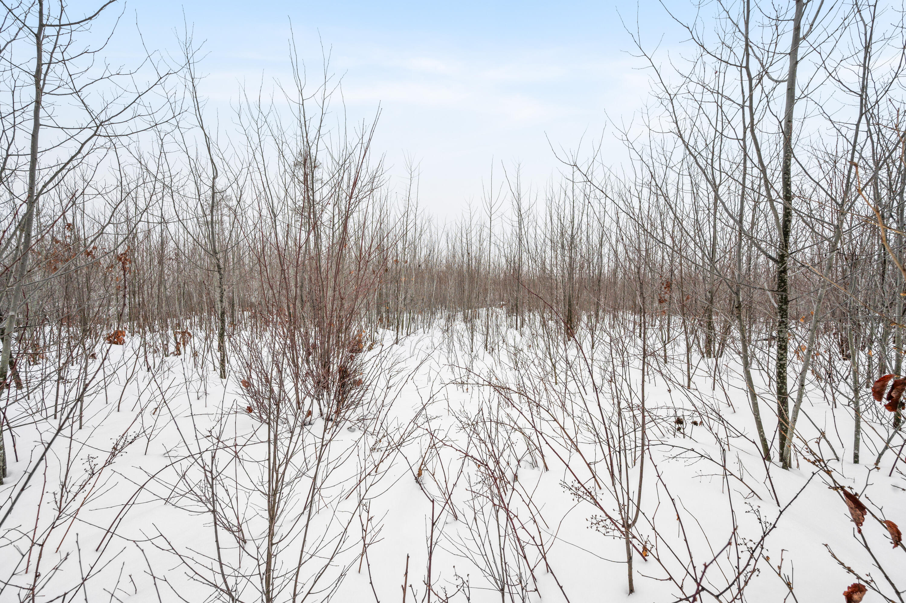 16107 12 Mile Road Leroy, MI 49655 - Photo 32 of 35 16107-12MileRd-LeRoy-18