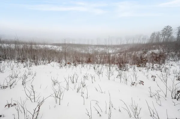 $212,900 | 16107 12 Mile Road, Leroy, MI 49655