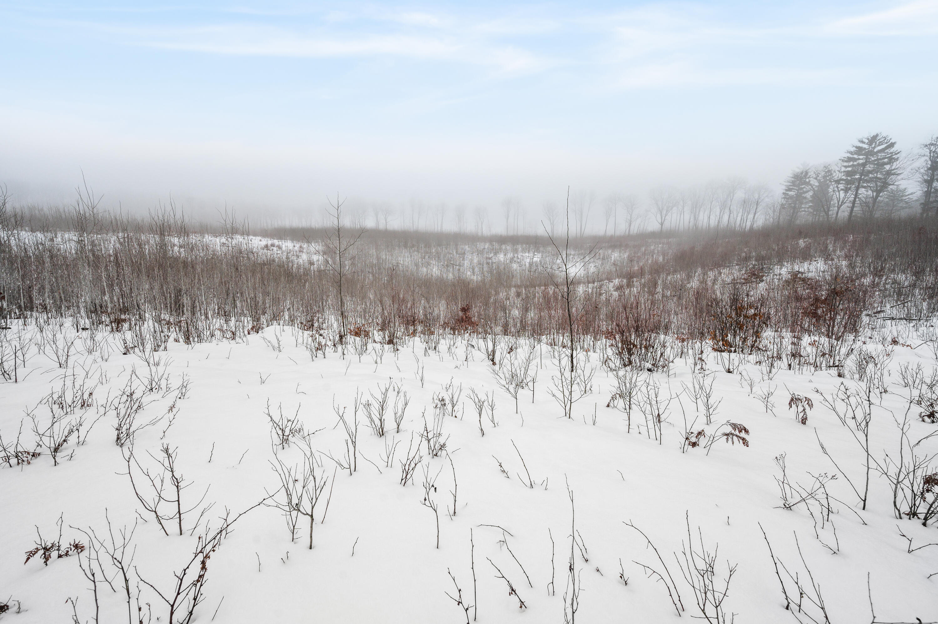 16107 12 Mile Road Leroy, MI 49655 - Photo 33 of 35 16107-12MileRd-LeRoy-19