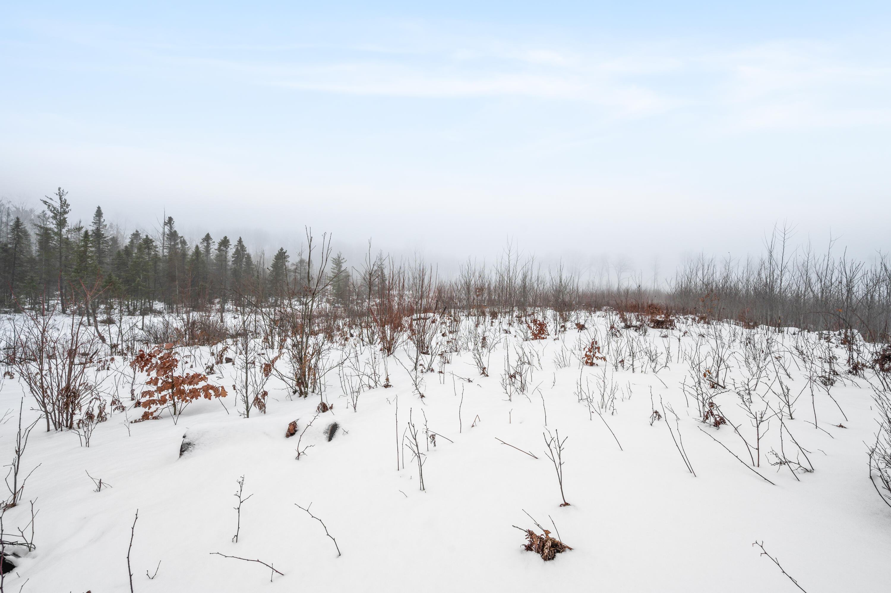 16107 12 Mile Road Leroy, MI 49655 - Photo 34 of 35 16107-12MileRd-LeRoy-20
