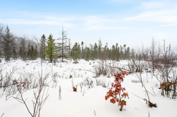 $212,900 | 16107 12 Mile Road, Leroy, MI 49655