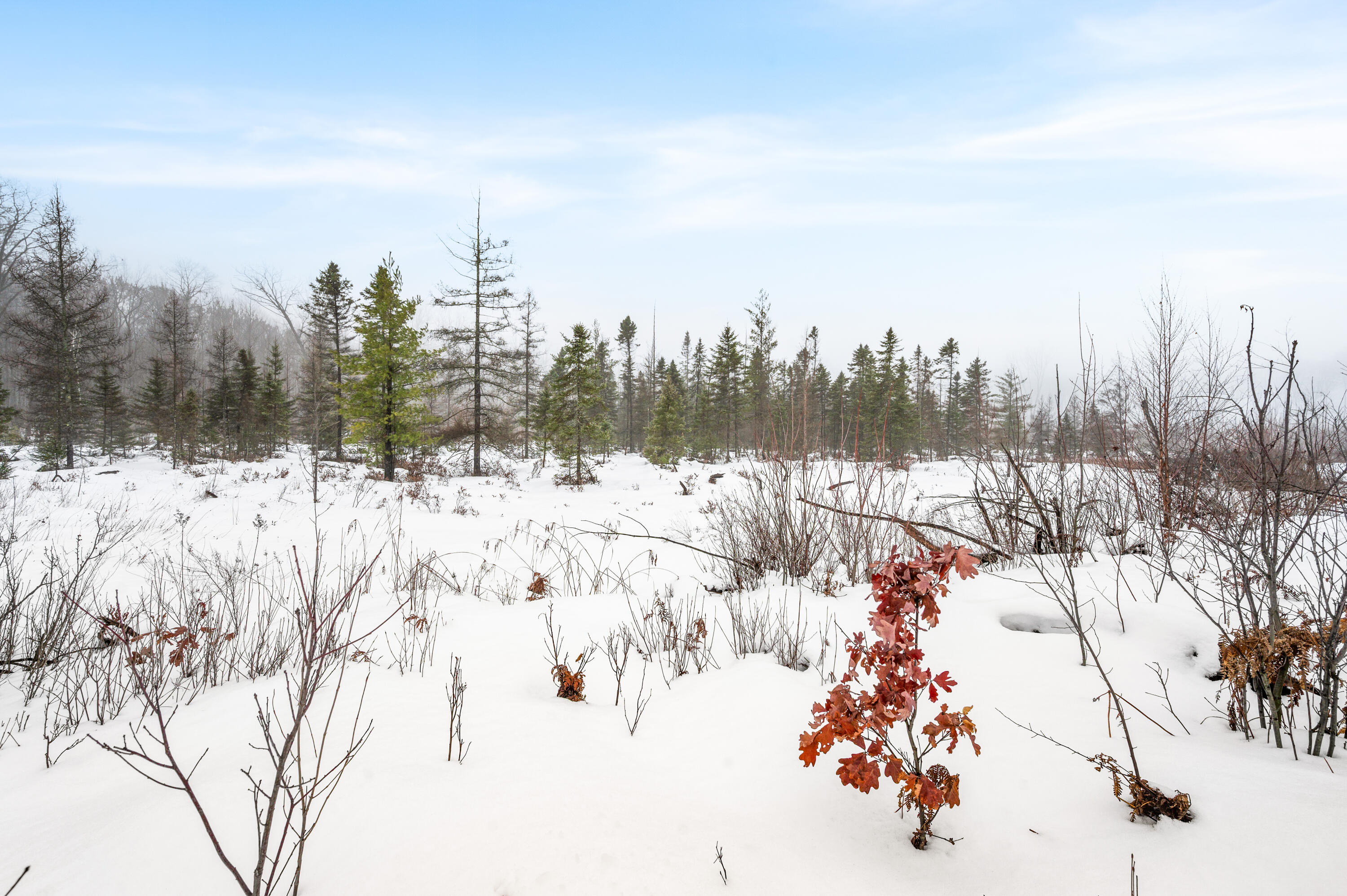 16107 12 Mile Road Leroy, MI 49655 - Photo 35 of 35 16107-12MileRd-LeRoy-23