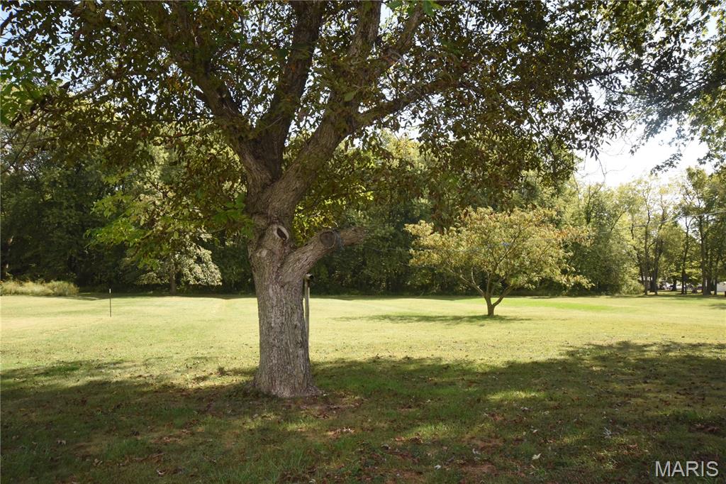 840 North Union Street Staunton, IL 62088 - Photo 39 of 41