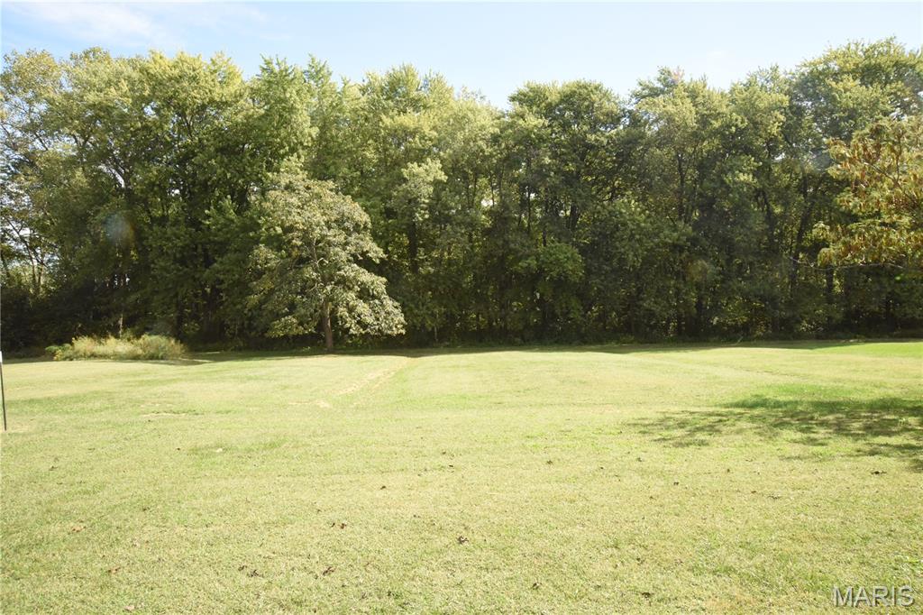 840 North Union Street Staunton, IL 62088 - Photo 9 of 41