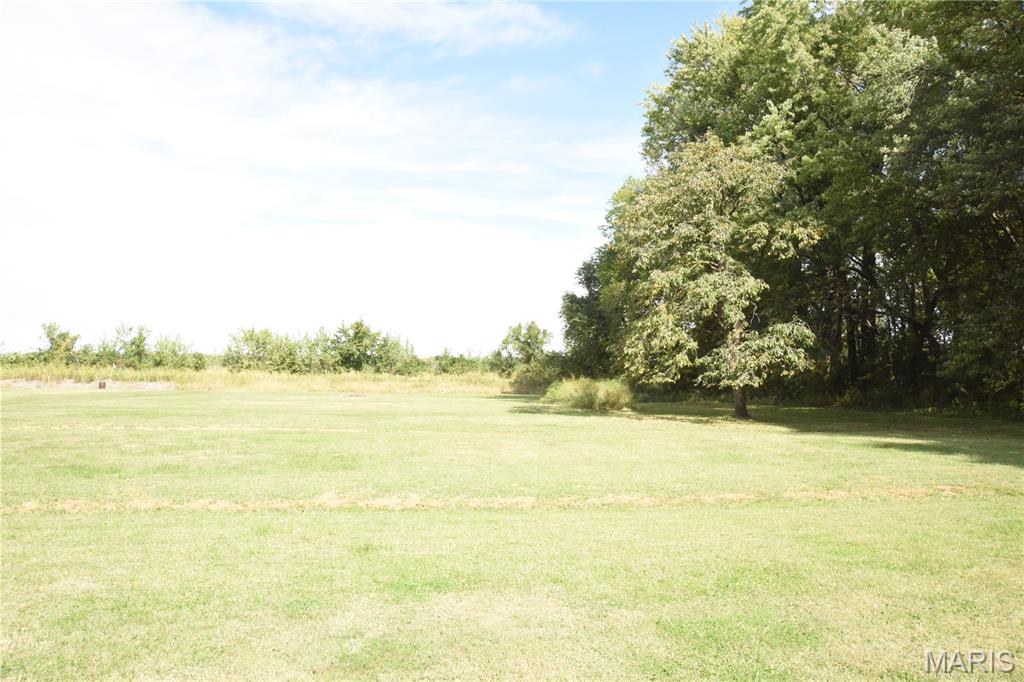 840 North Union Street Staunton, IL 62088 - Photo 10 of 41