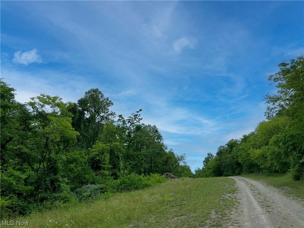 0 Leonard Ridge Road Caldwell, OH 43724 - Photo 19 of 23 Gallery Image 19