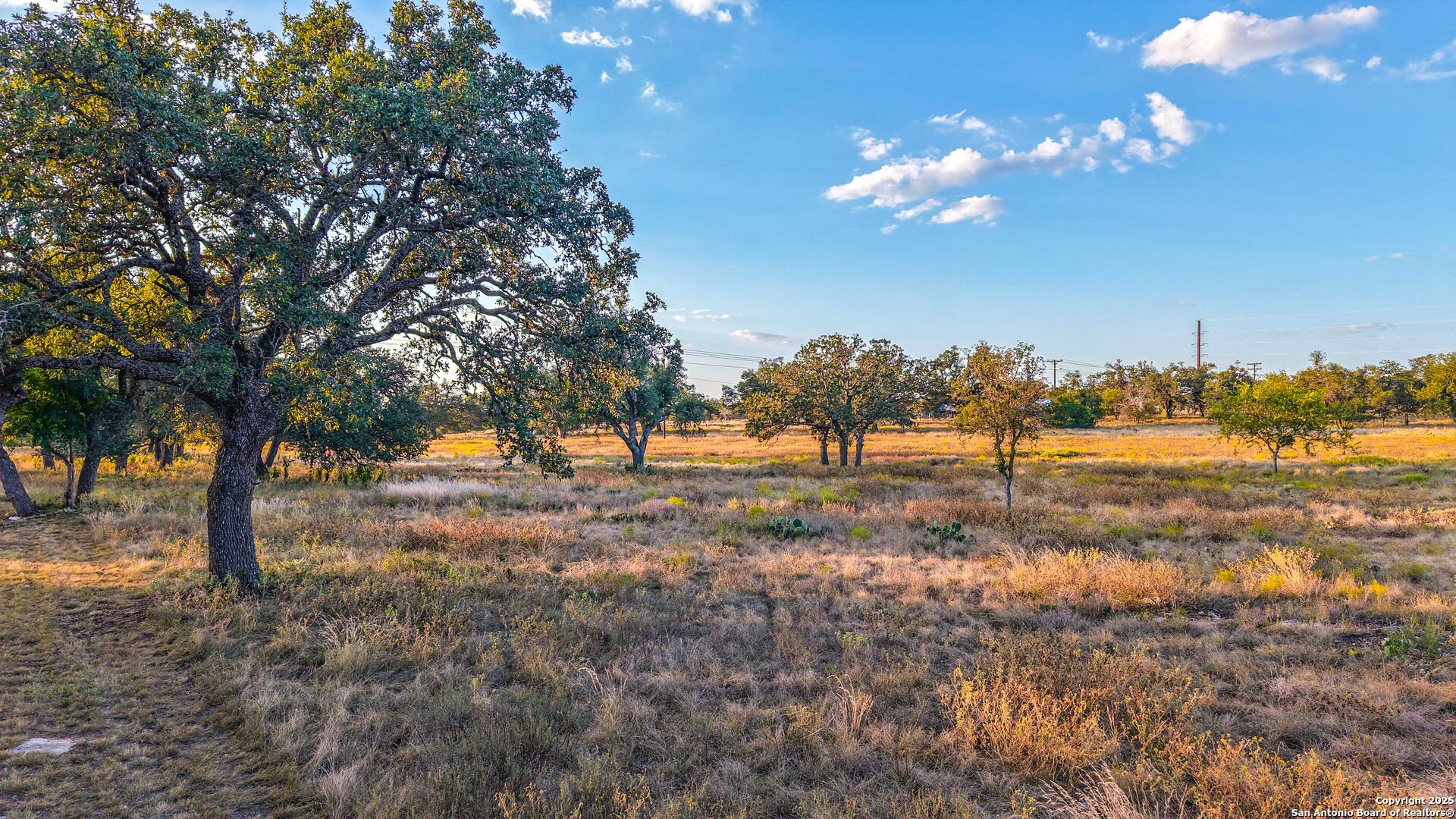 21789 Fm 2093 Harper, TX 78631 - Photo 63 of 98 a view of a yard with a tree