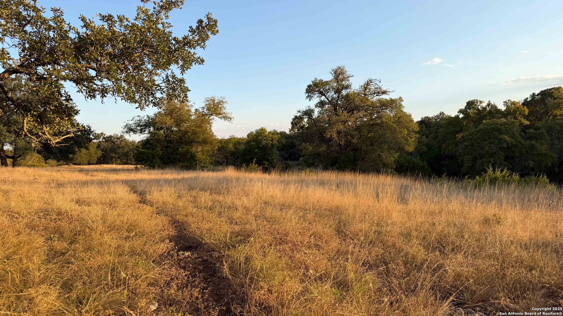 21789 Fm 2093 Harper, TX 78631 - Photo 65 of 98 a view of backyard with lake view