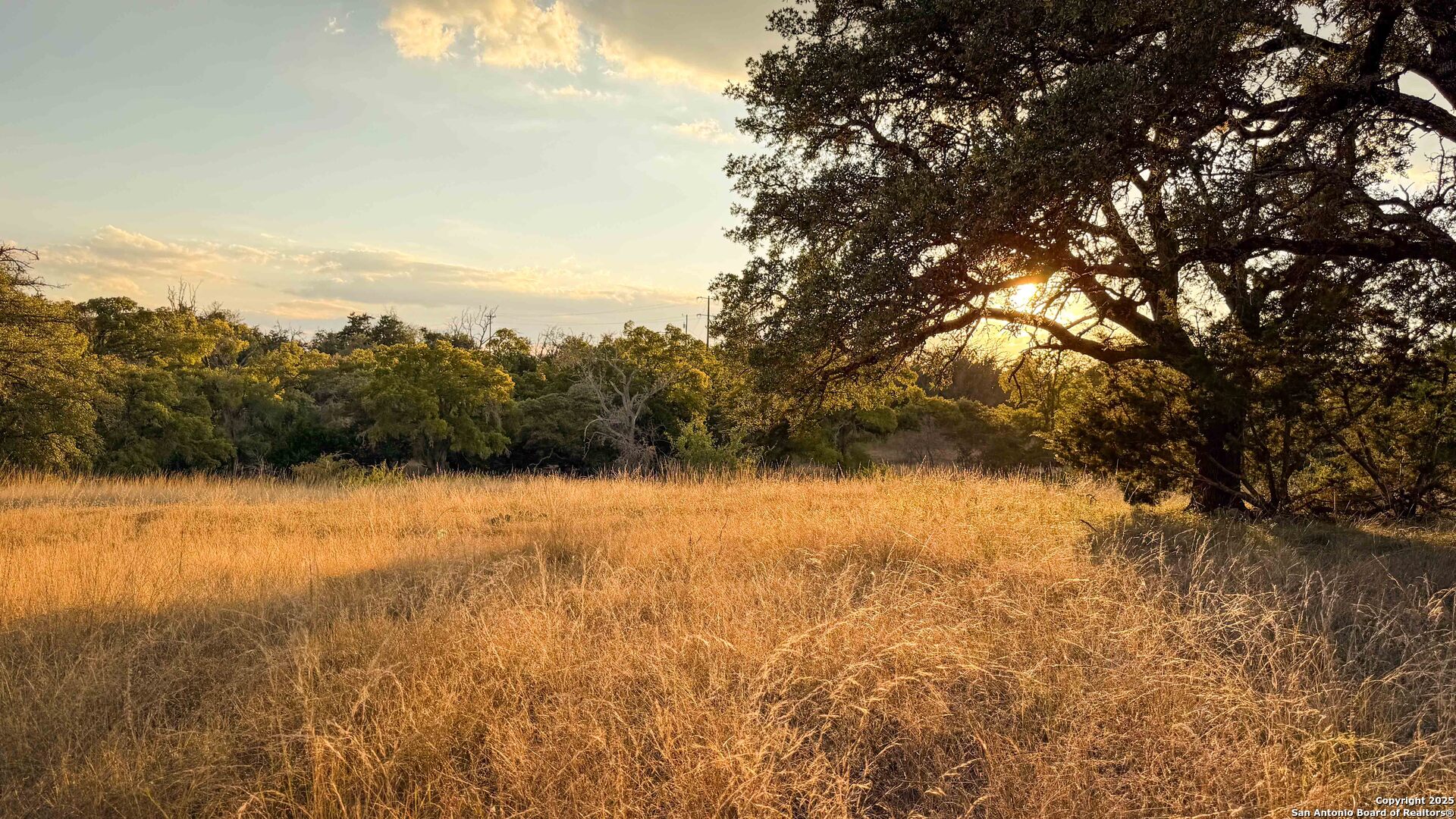 21789 Fm 2093 Harper, TX 78631 - Photo 66 of 98