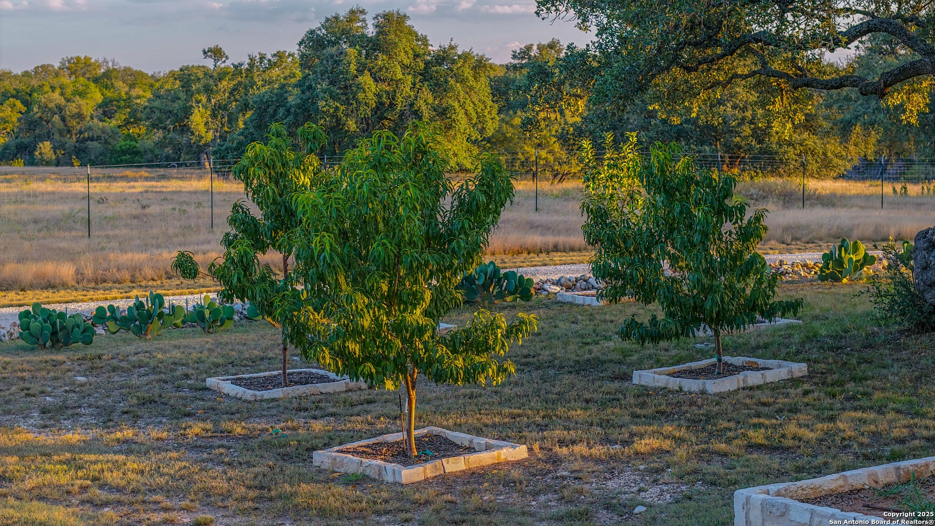 21789 Fm 2093 Harper, TX 78631 - Photo 82 of 98