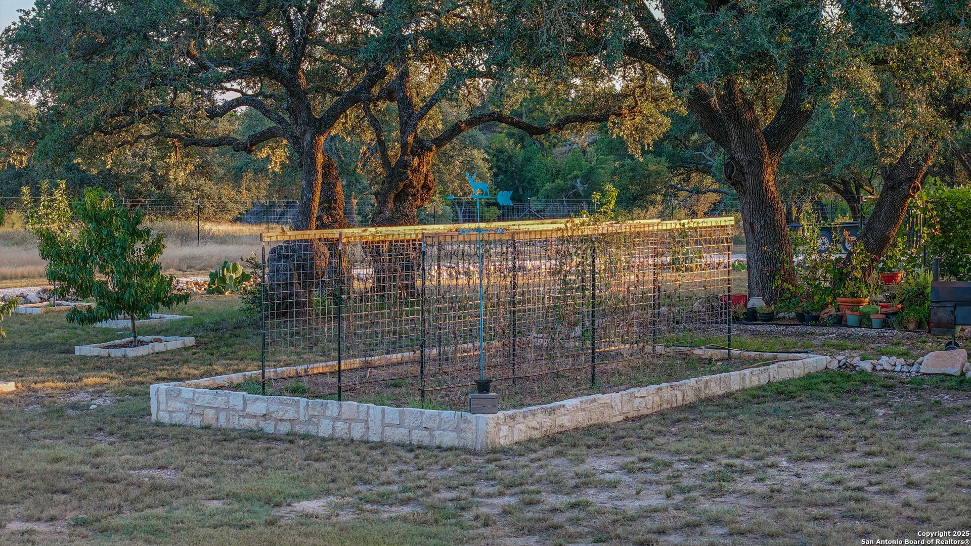 21789 Fm 2093 Harper, TX 78631 - Photo 84 of 98 a view of a park with a large tree