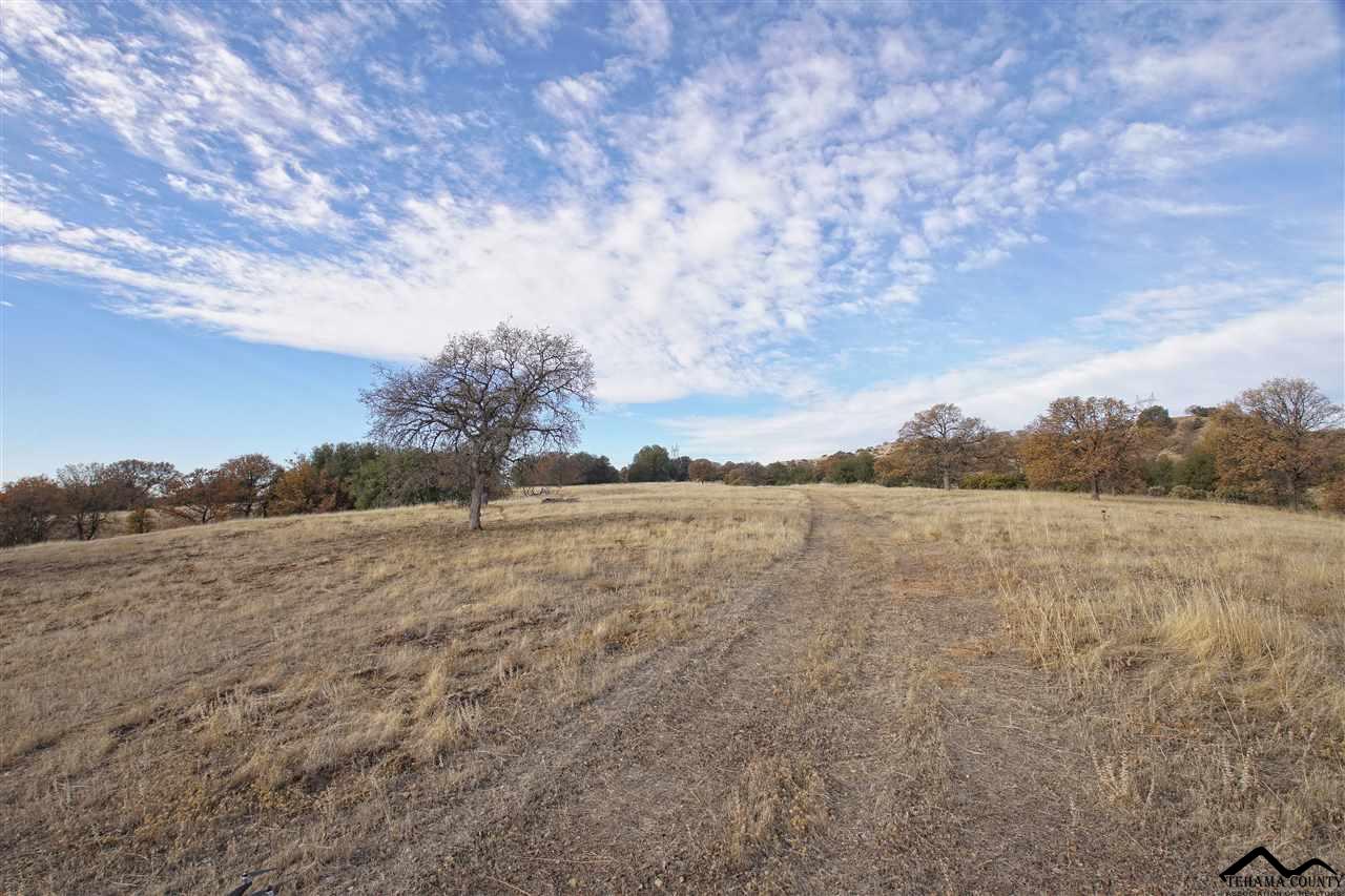 1 Riverview Ranch Road Red Bluff, CA 96080 - Photo 50 of 55 Gallery Image 50
