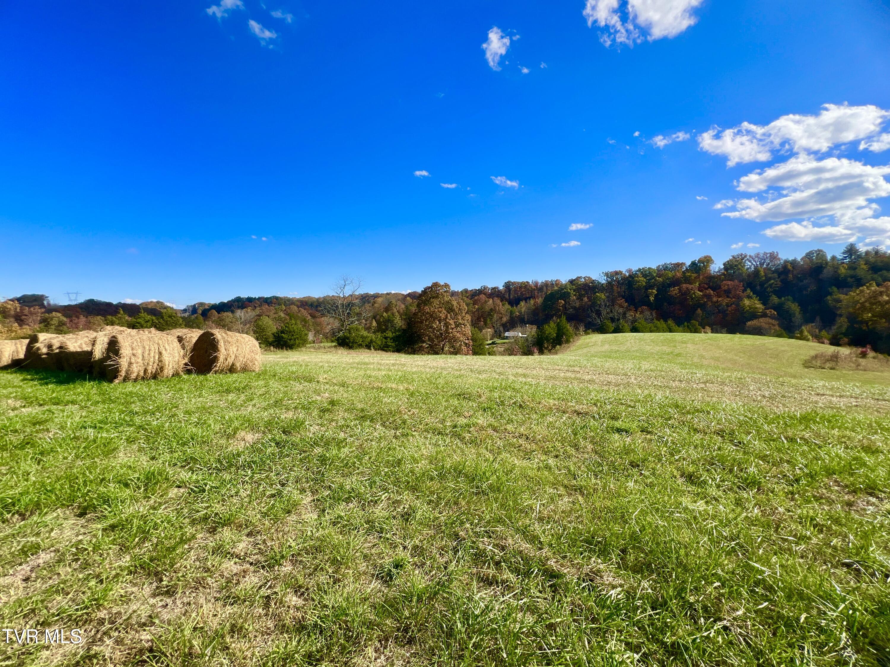 7084 Lone Star Road, Unit 2 Kingsport, TN 37660 - Photo 13 of 58 _Pic11 (28)