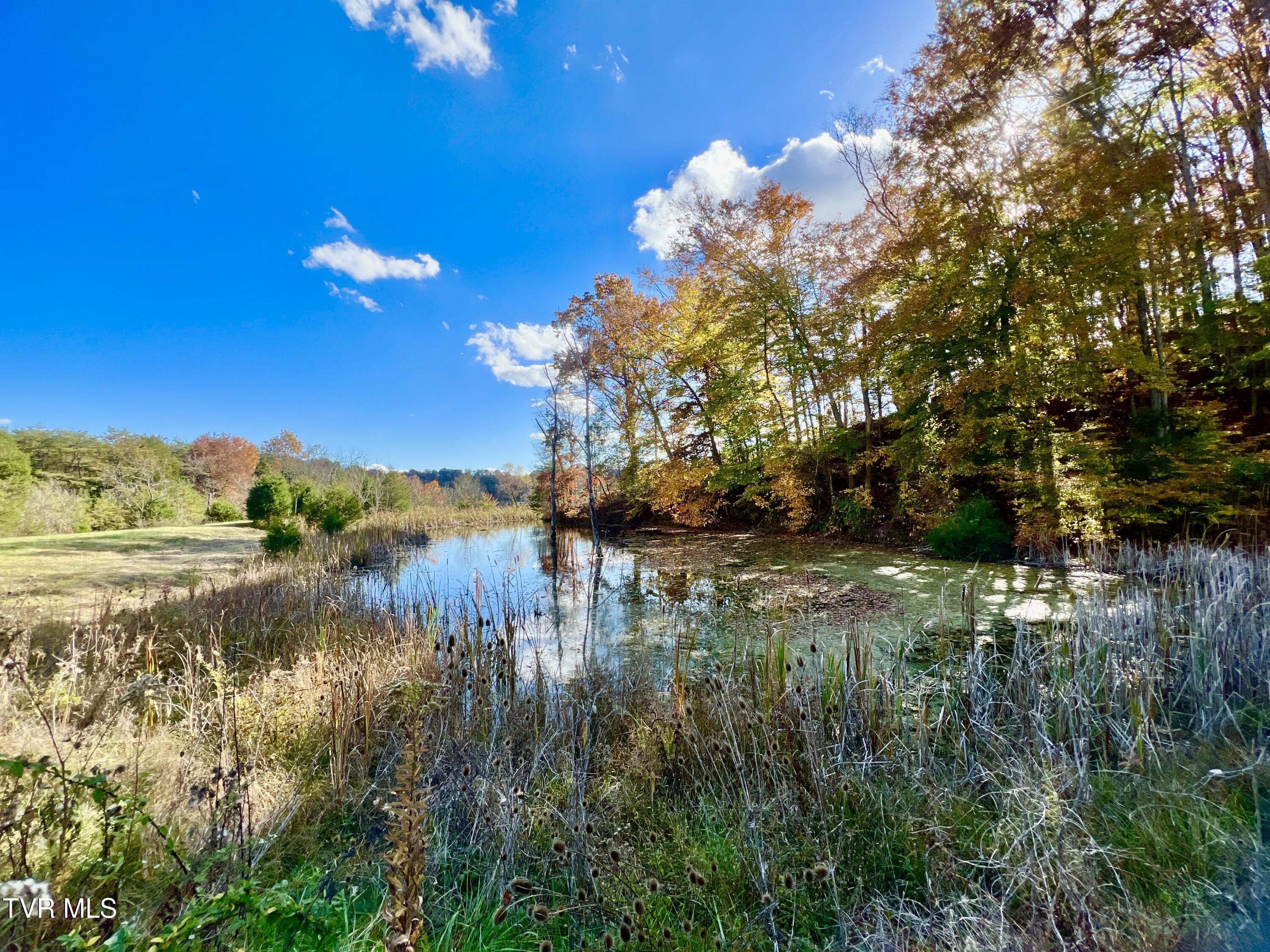 7084 Lone Star Road, Unit 2 Kingsport, TN 37660 - Photo 19 of 58 _Pic17 (23)