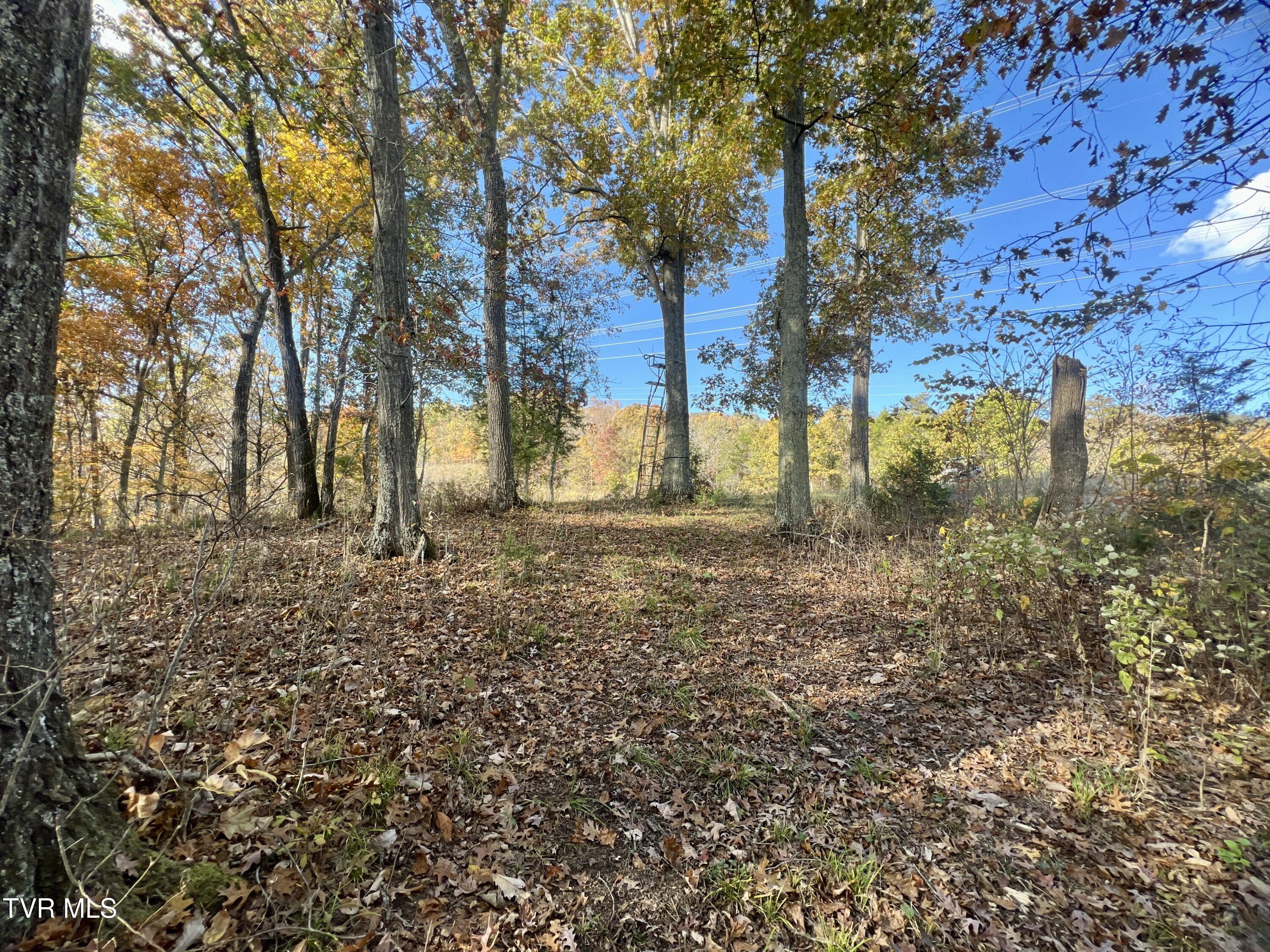 7084 Lone Star Road, Unit 2 Kingsport, TN 37660 - Photo 25 of 58 _Pic23 (15)