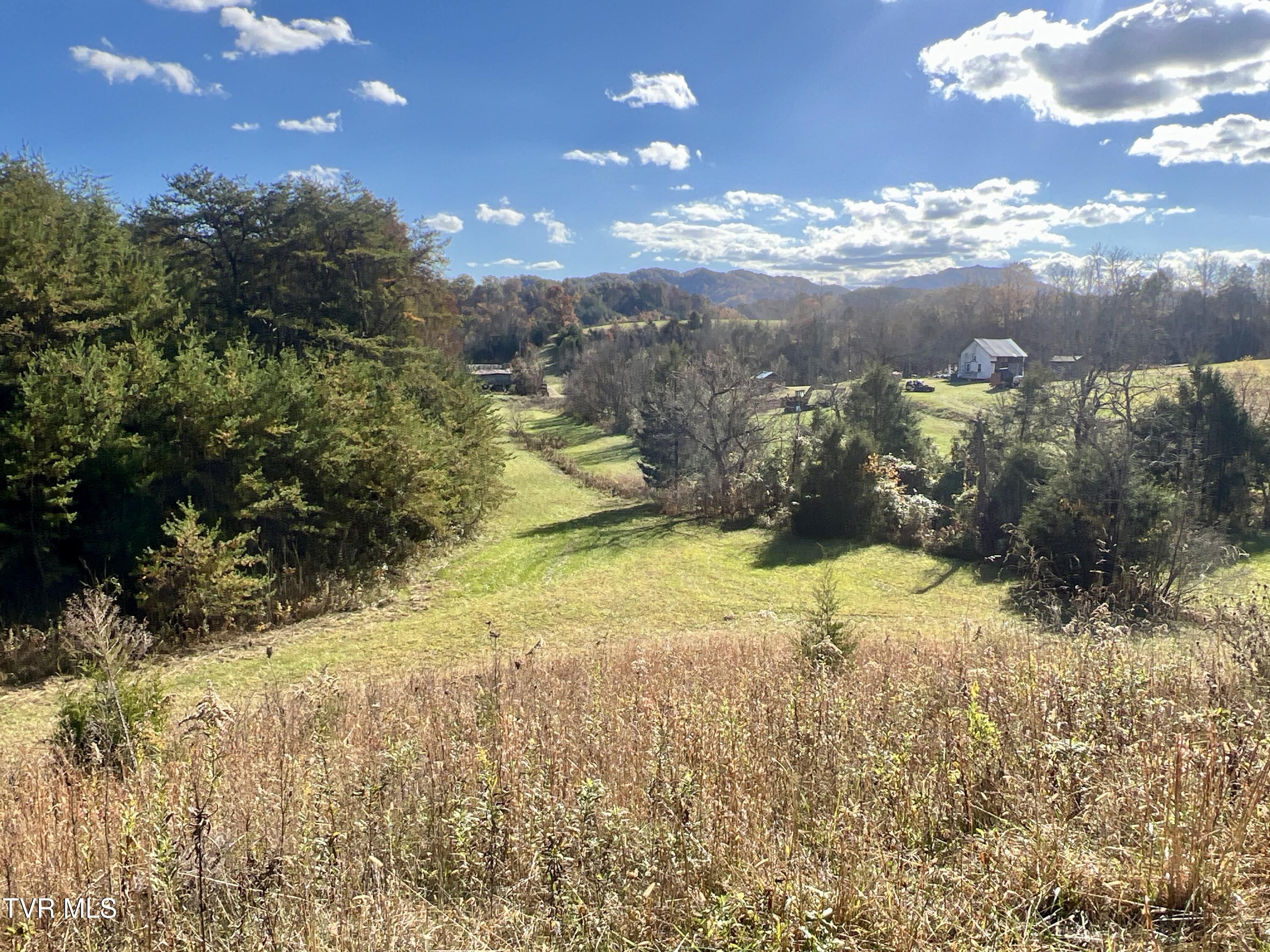 7084 Lone Star Road, Unit 2 Kingsport, TN 37660 - Photo 27 of 58 _Pic25 (14)