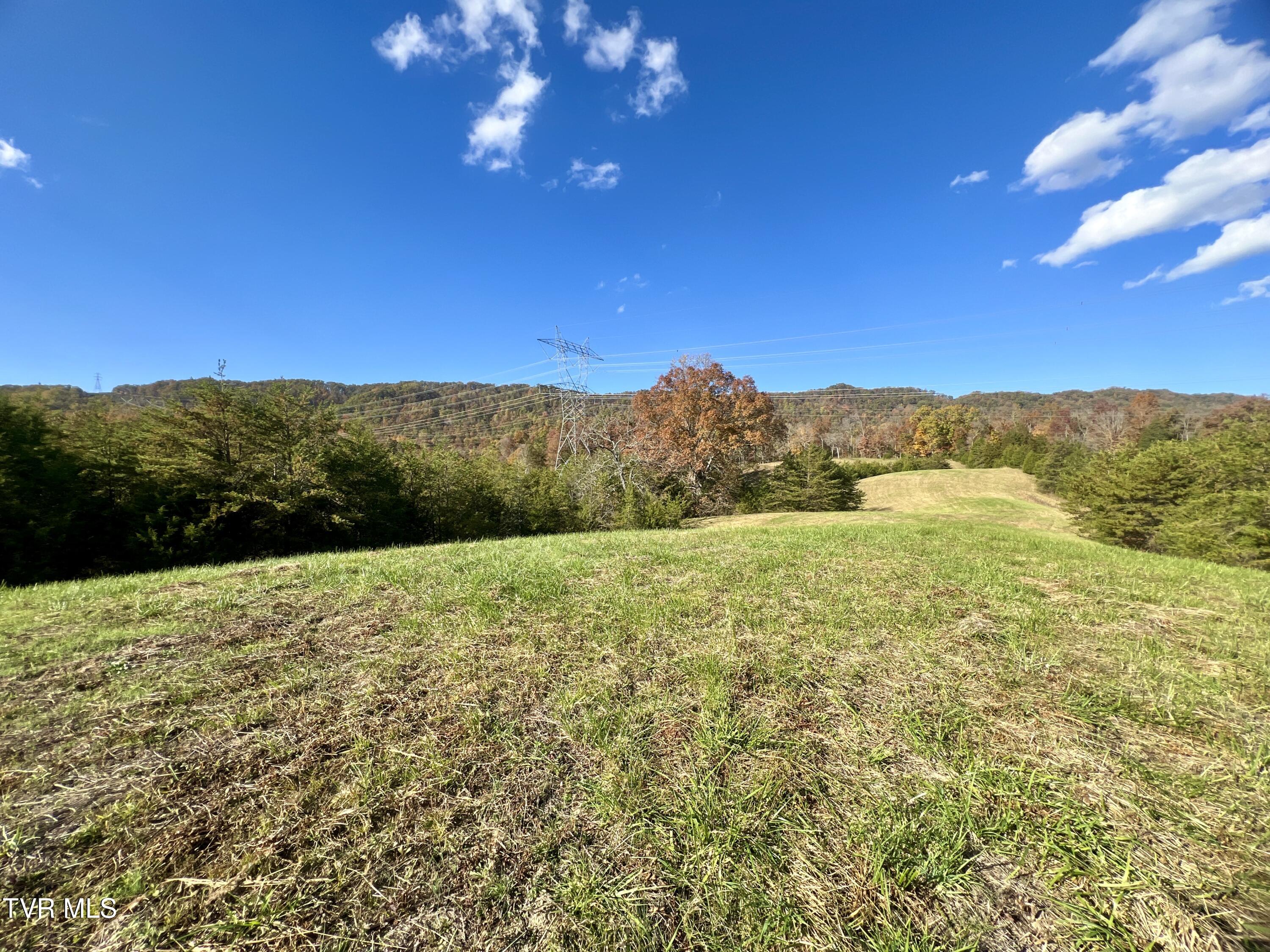 7084 Lone Star Road, Unit 2 Kingsport, TN 37660 - Photo 28 of 58 _Pic26 (13)