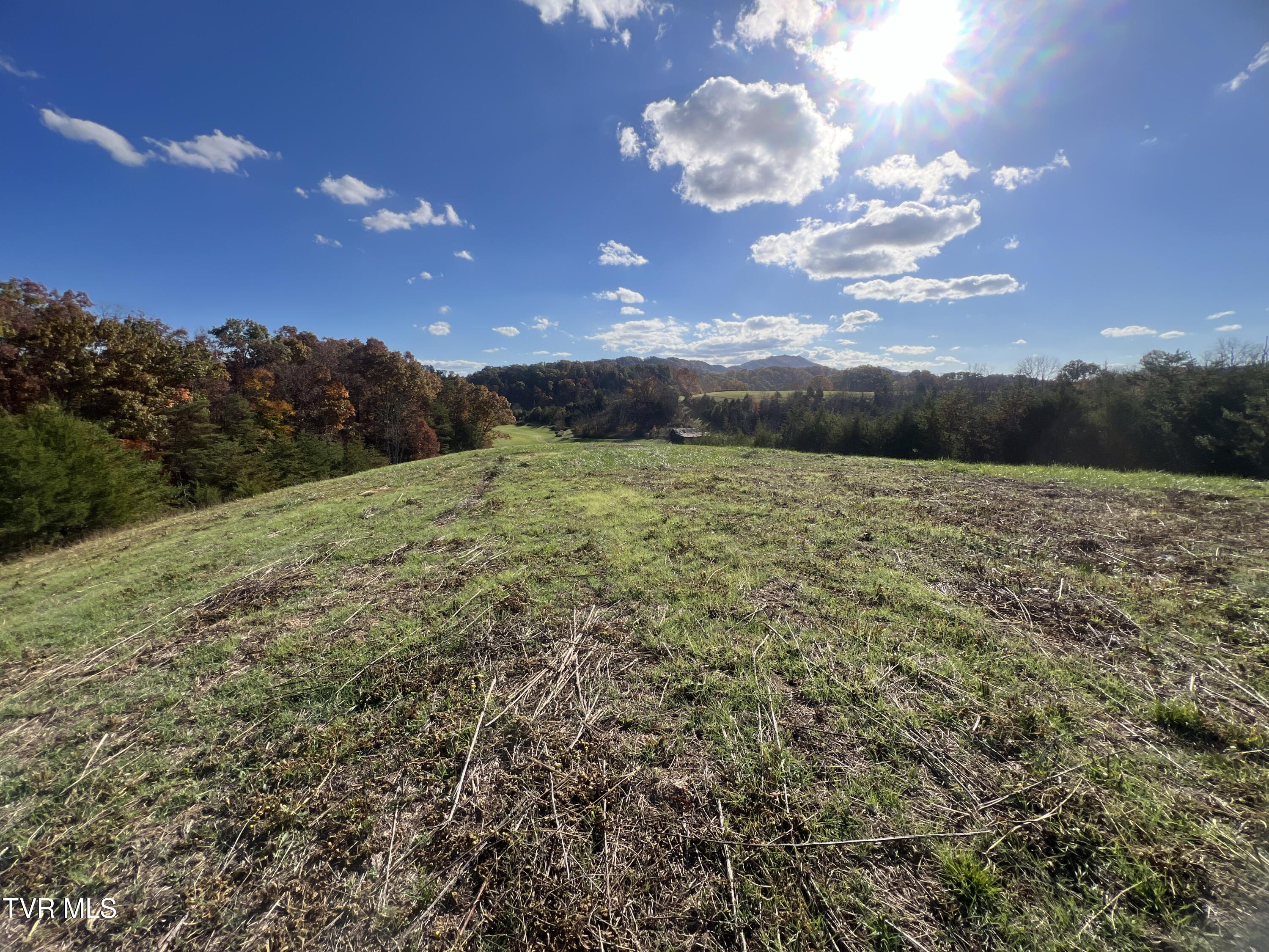 7084 Lone Star Road, Unit 2 Kingsport, TN 37660 - Photo 29 of 58 _Pic27 (15)