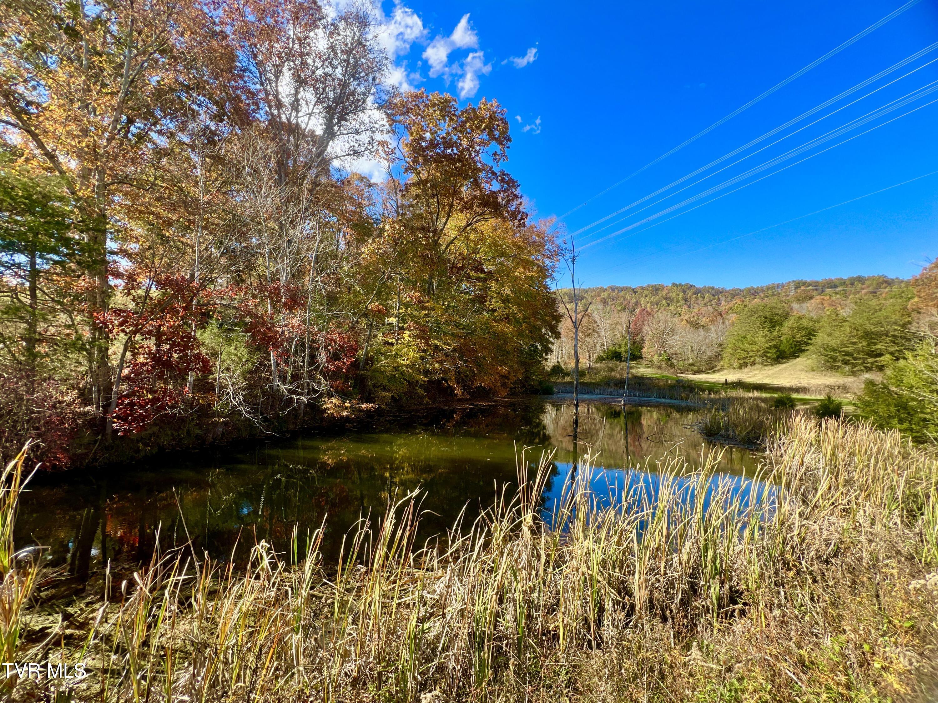 7084 Lone Star Road, Unit 2 Kingsport, TN 37660 - Photo 3 of 58 _Pic1 (34)