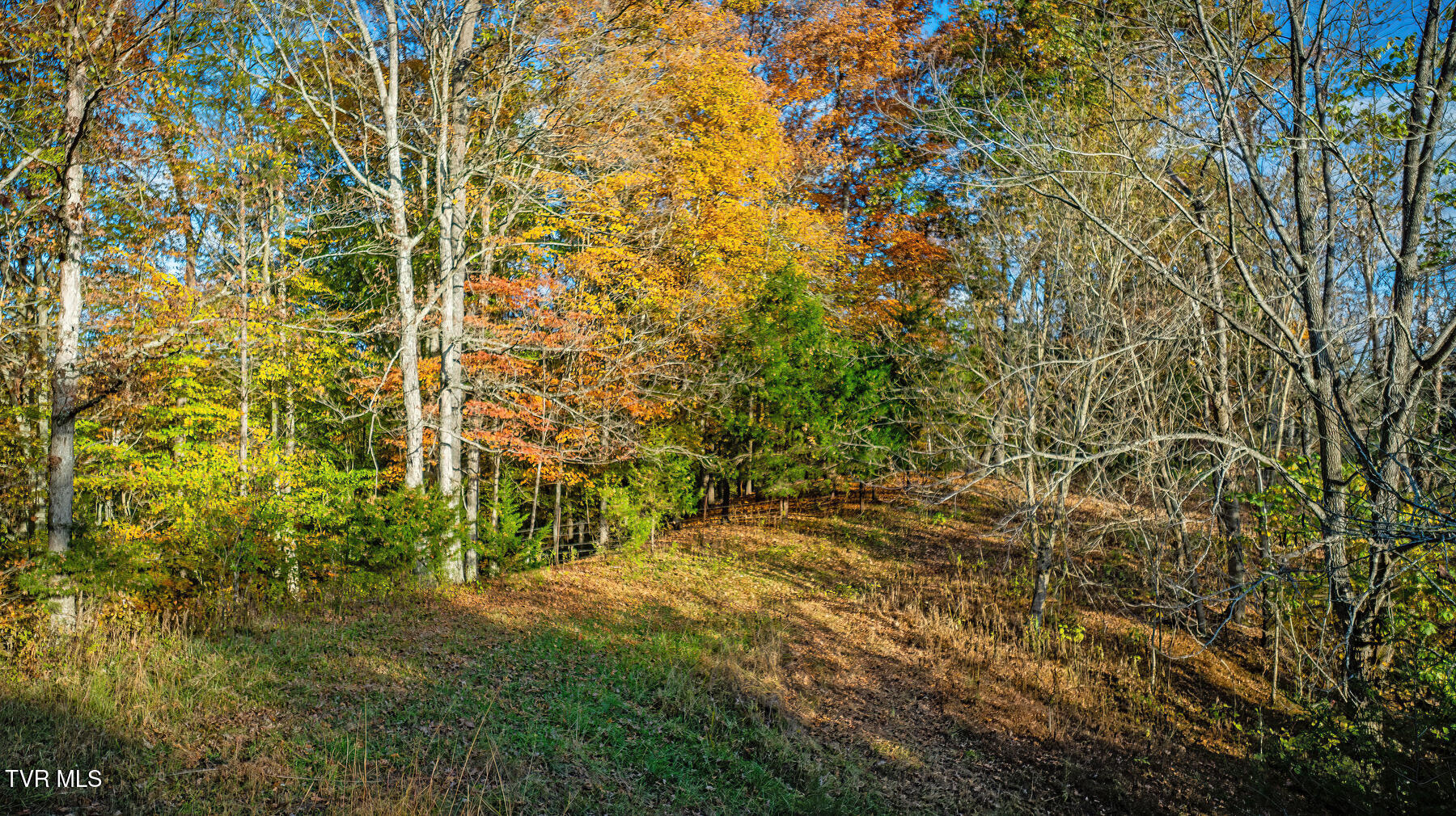 7084 Lone Star Road, Unit 2 Kingsport, TN 37660 - Photo 38 of 58 _Pic36 (13)