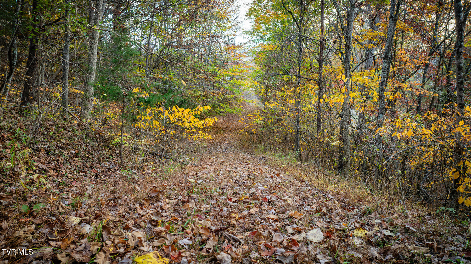 7084 Lone Star Road, Unit 2 Kingsport, TN 37660 - Photo 41 of 58 _Pic39 (14)