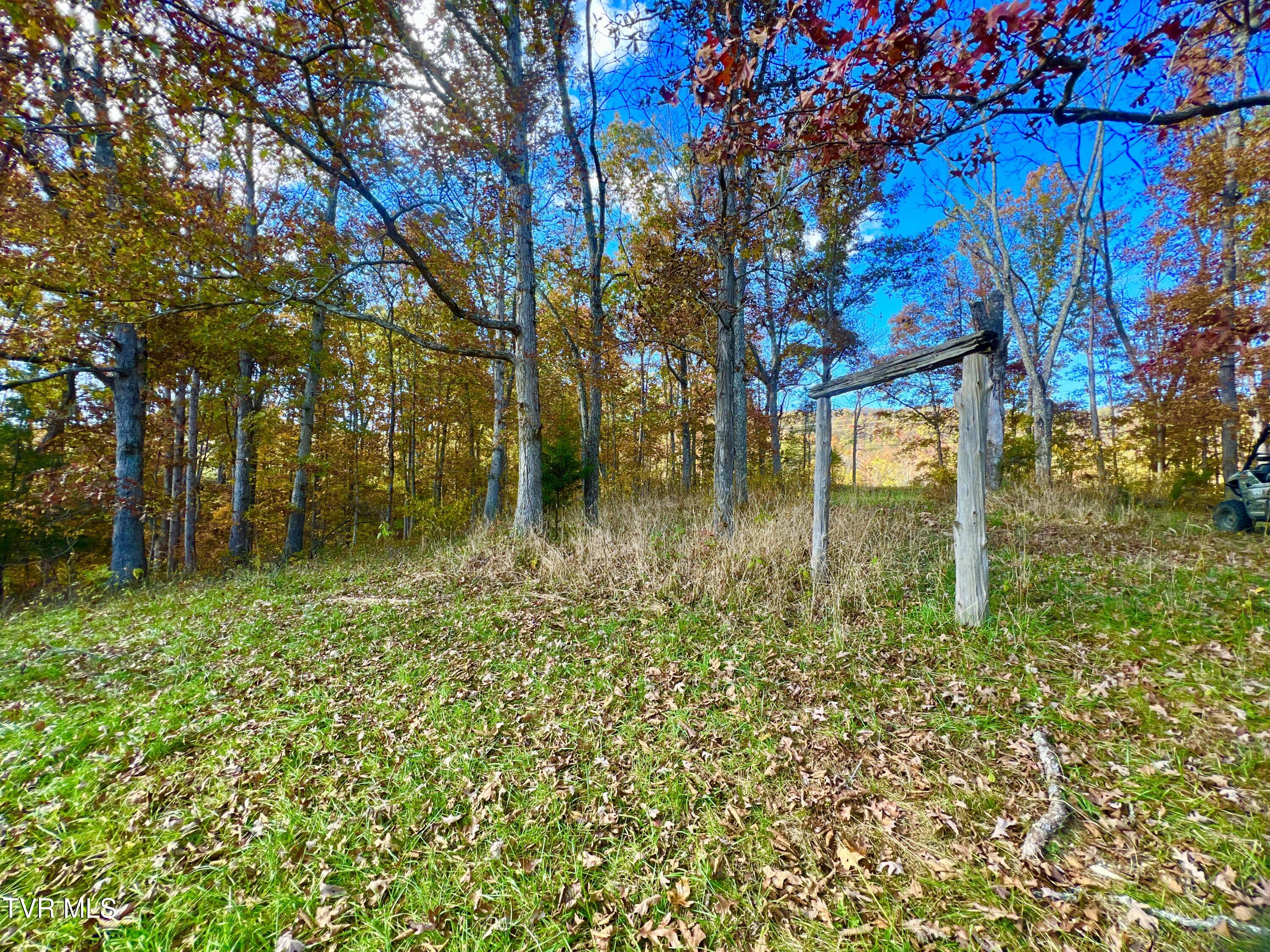 7084 Lone Star Road, Unit 2 Kingsport, TN 37660 - Photo 43 of 58 _Pic41 (13)