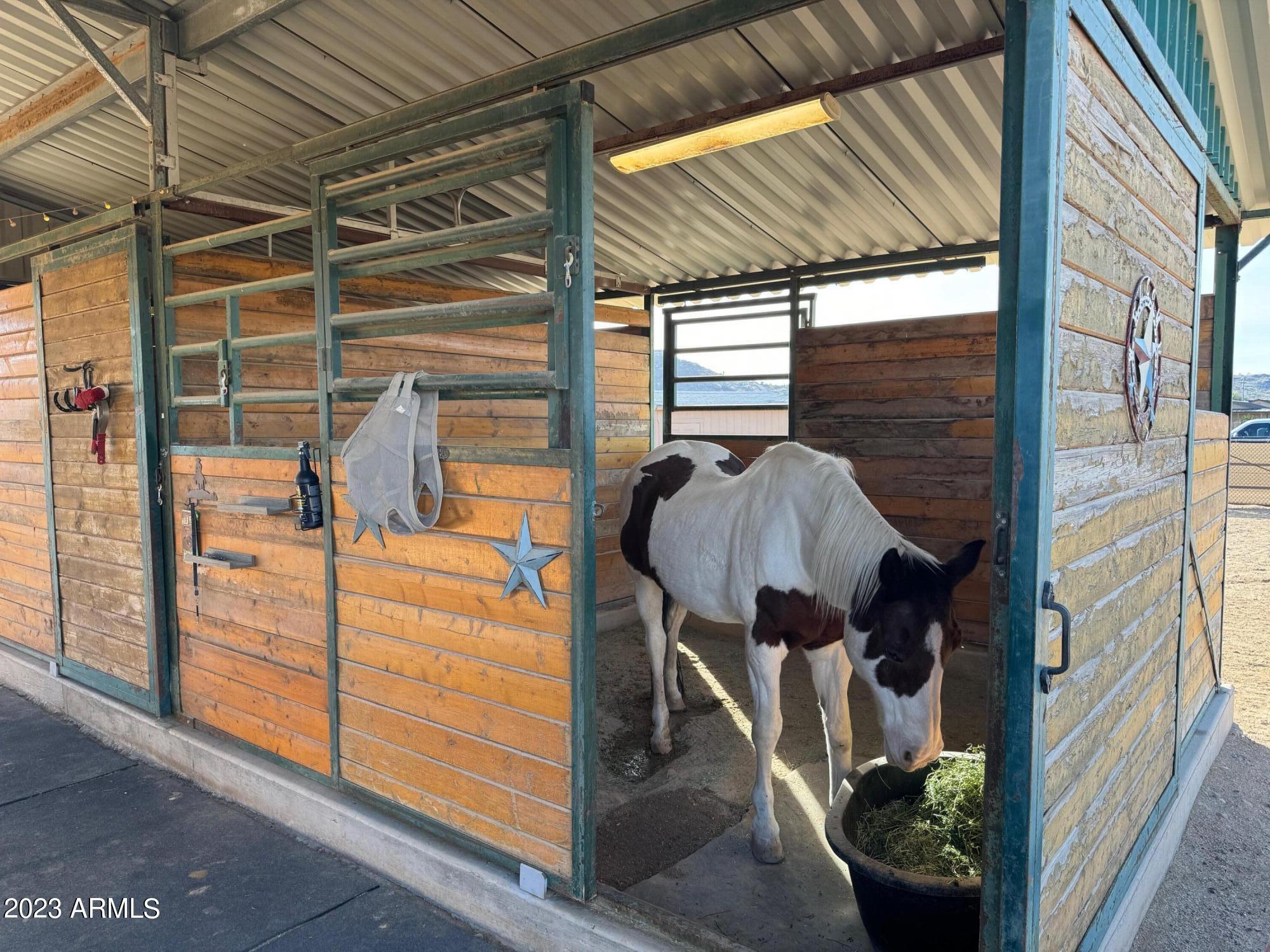 2725 West Irvine Road Phoenix, AZ 85086 - Photo 28 of 33 Horse stall