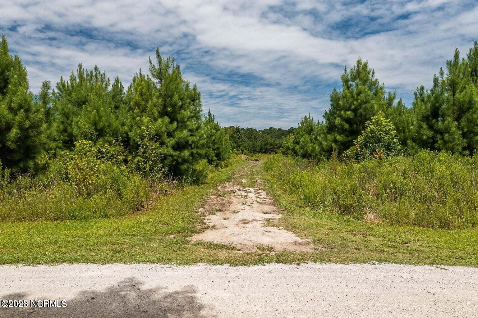 2495 Longwood Road Northwest Longwood, NC 28452 - Photo 106 of 116 20220824133812307475000000-o