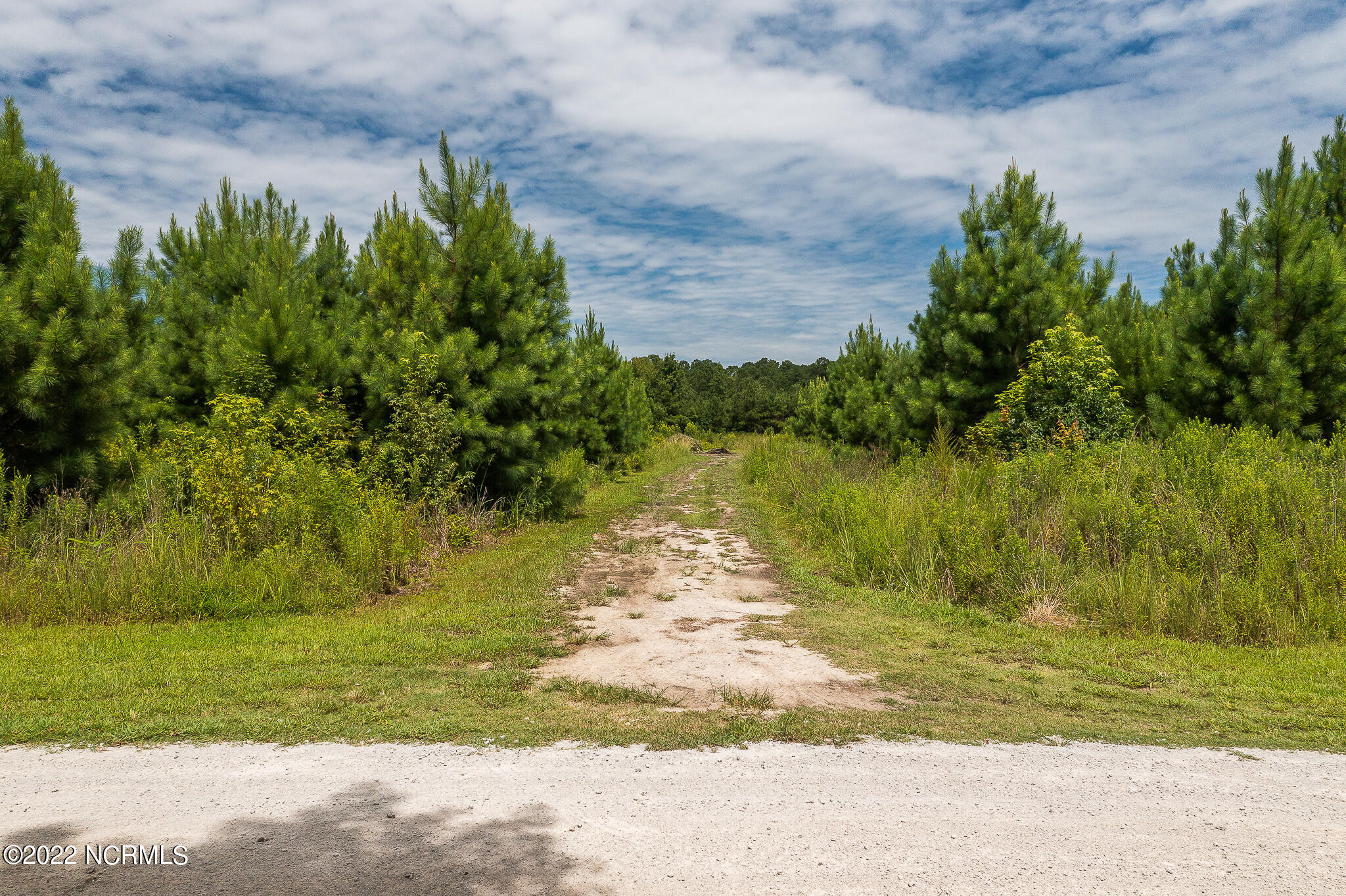 2495 Longwood Road Northwest Longwood, NC 28452 - Photo 48 of 116 4295_Longwood-47