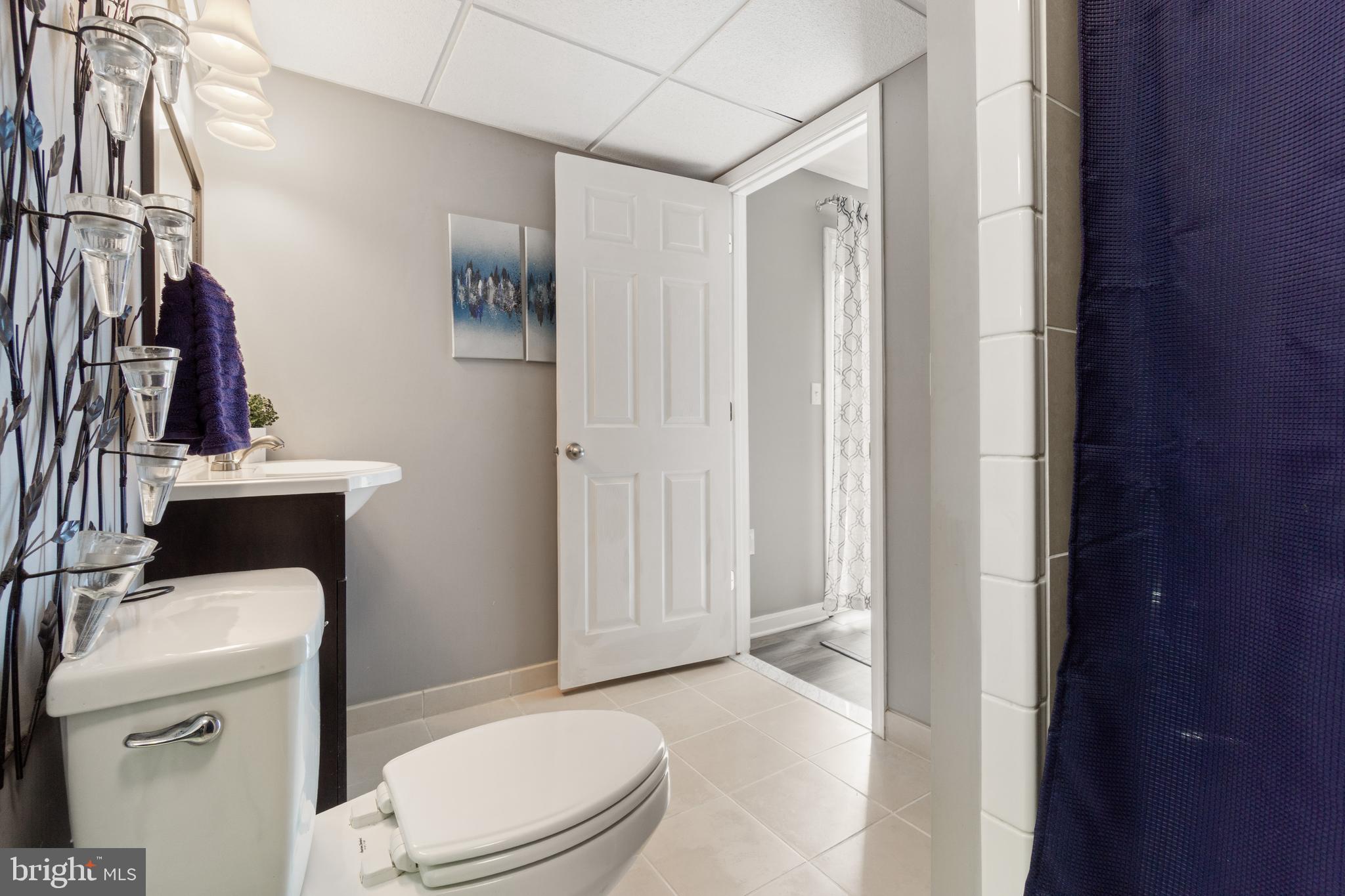 8339 Capel Drive Pasadena, MD 21122 - Photo 43 of 51 a bathroom with a sink a toilet and shower