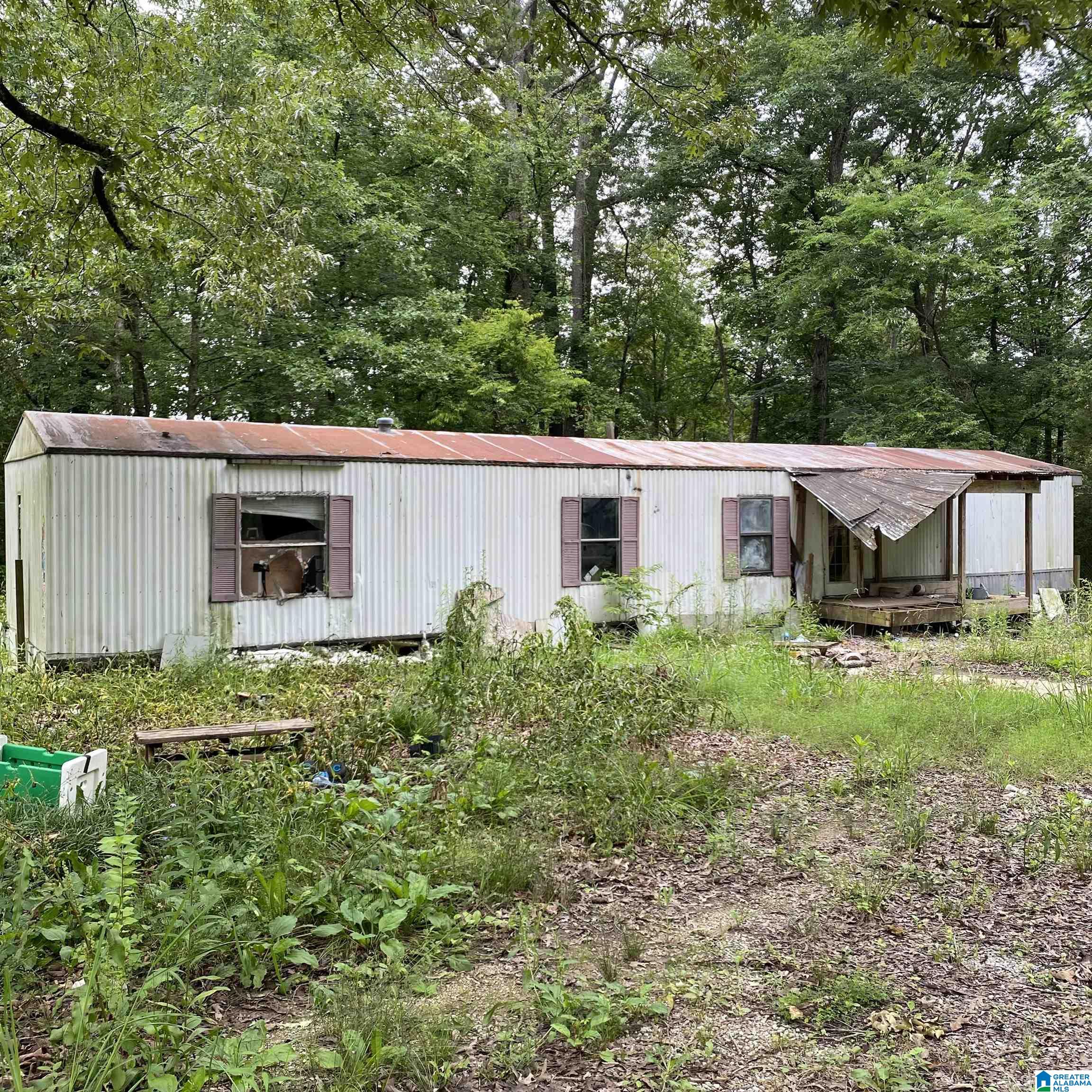 51 Taft Road Ashville, AL 35953 - Photo 3 of 12