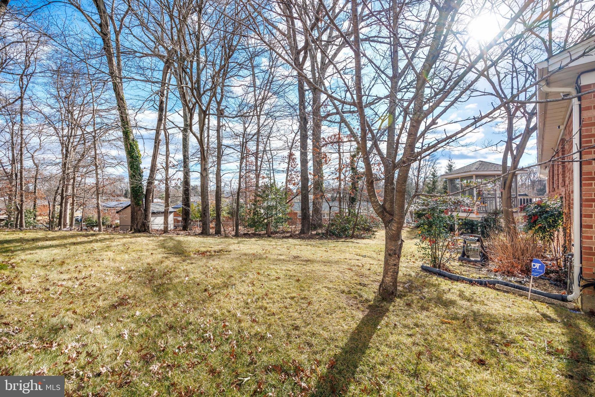 11406 Accolade Terrace Clinton, MD 20735 - Photo 40 of 45 a view of large trees with a yard