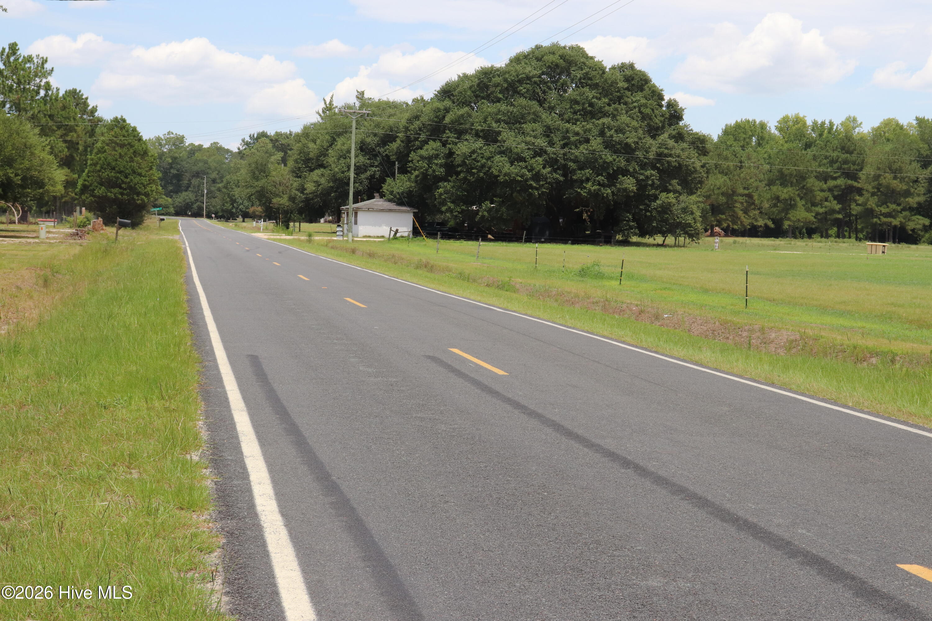 Tbd Hayne Stretch Road Roseboro, NC 28382 - Photo 29 of 31