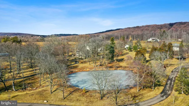 a view of swimming pool with a yard
