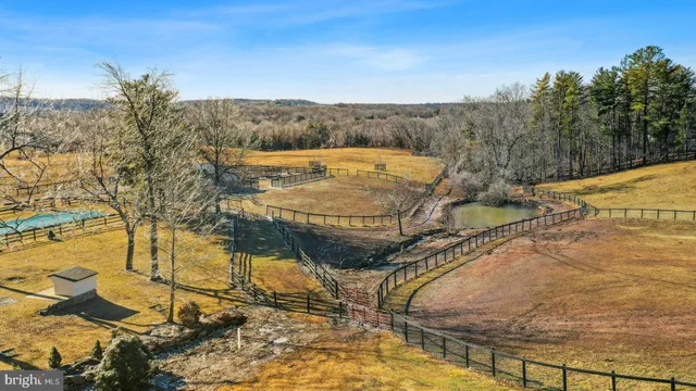 a view of a swimming pool with a yard