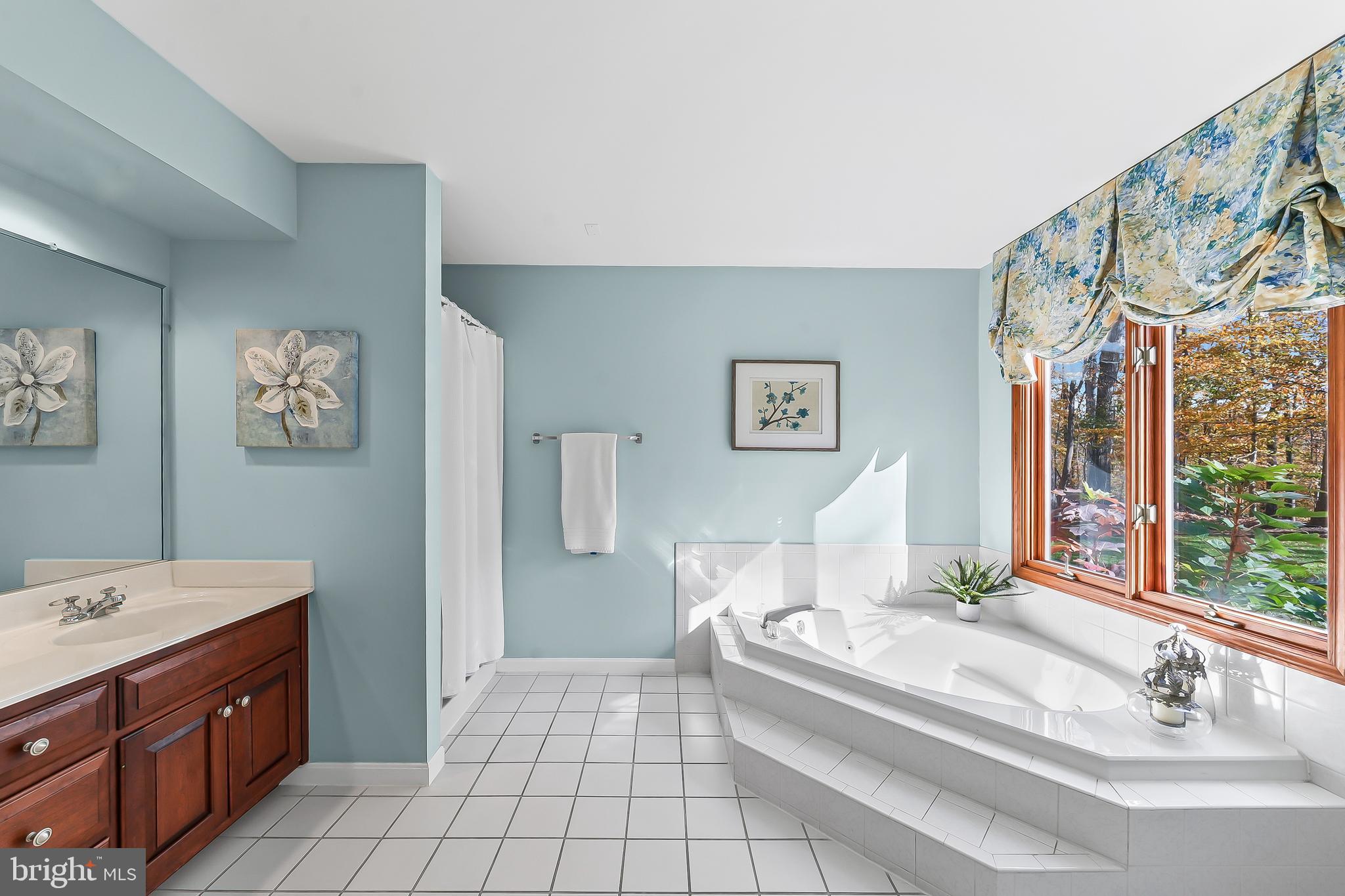 5 Copper Beech Court Landenberg, PA 19350 - Photo 25 of 38 a spacious bathroom with a tub sink and mirror