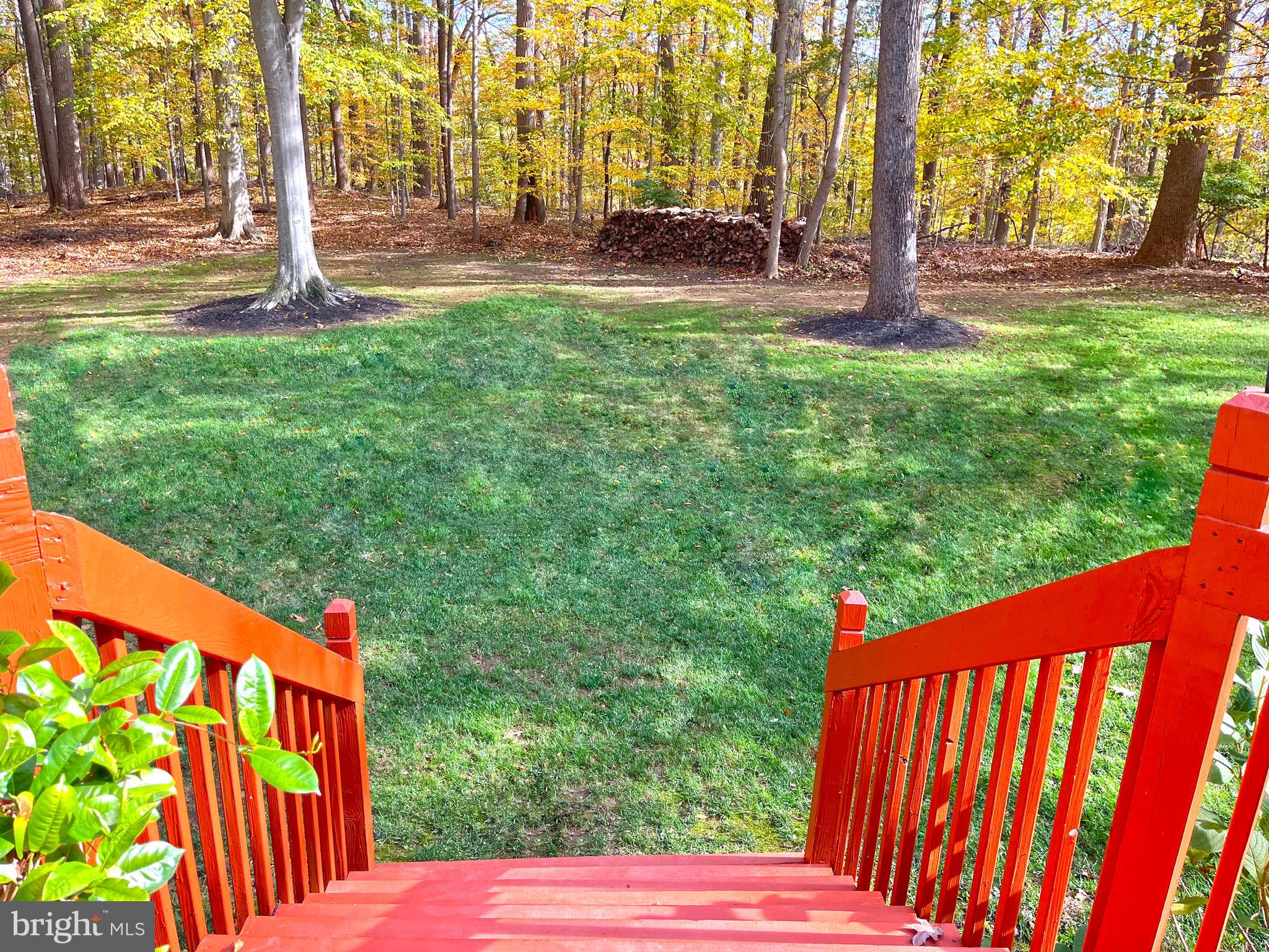 5 Copper Beech Court Landenberg, PA 19350 - Photo 4 of 38 a view of outdoor space with garden and trees