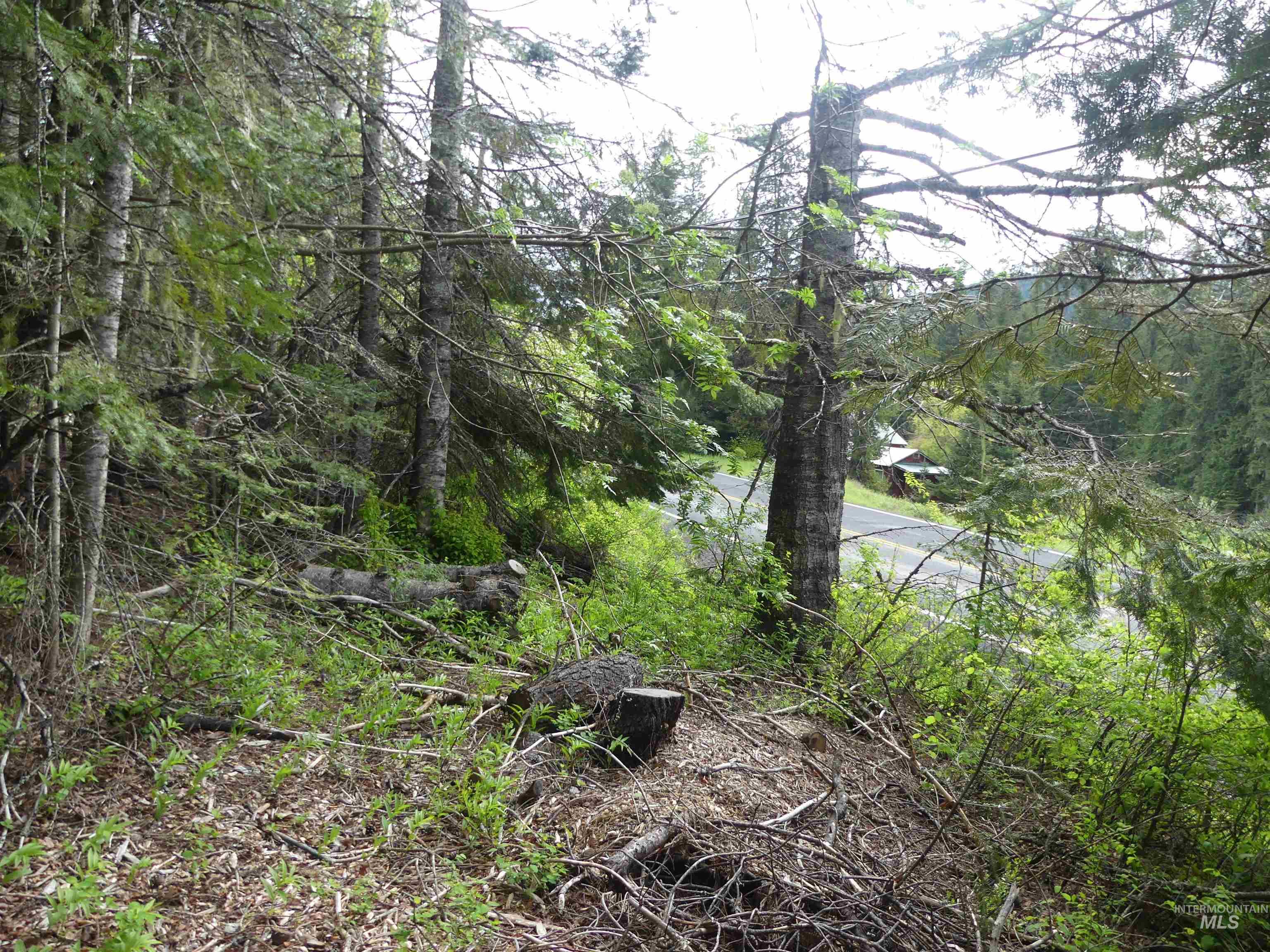 36975 State Highway 11 Pierce, ID 83546 - Photo 22 of 50