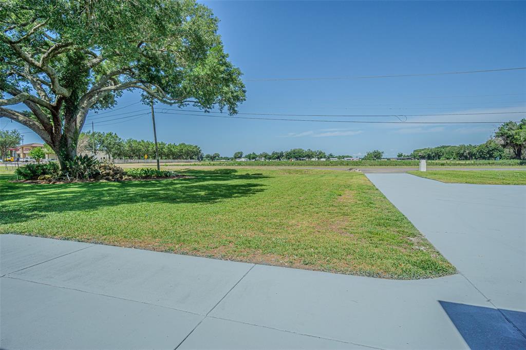 5302 Turkey Creek Road Plant City, FL 33567 - Photo 16 of 46 a view of a yard with an trees