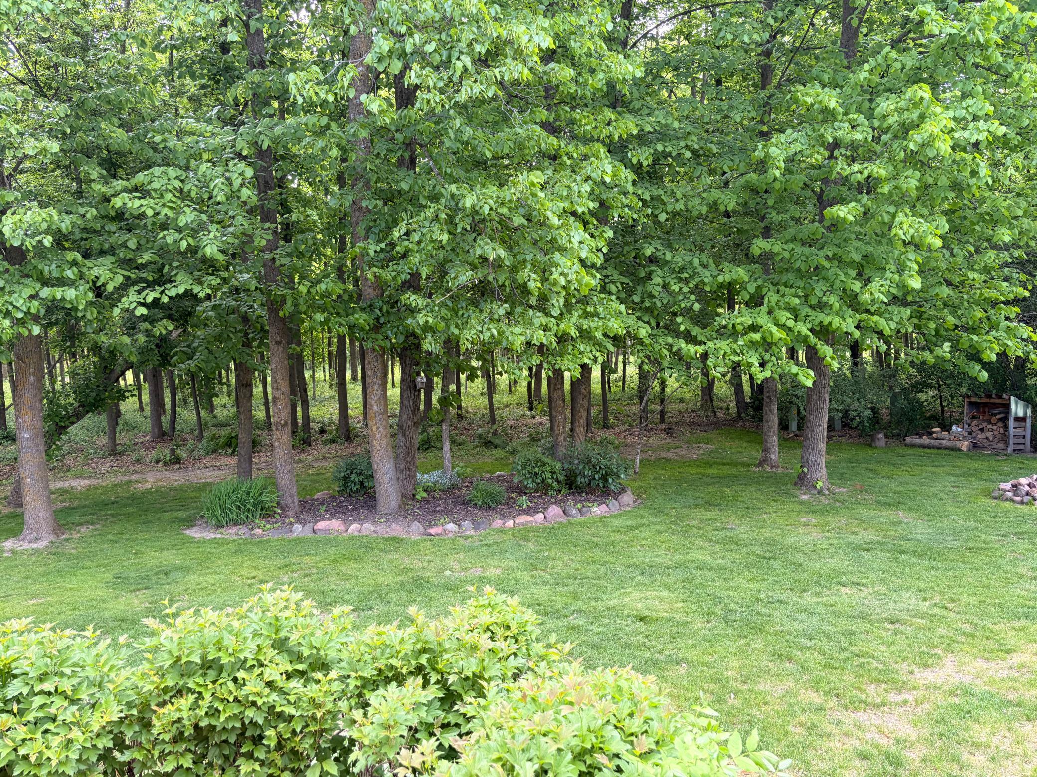 610 Linden Avenue Rice Lake, WI 54868 - Photo 3 of 28