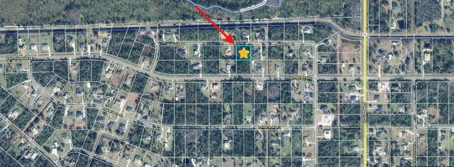 a view of a yard with a tree