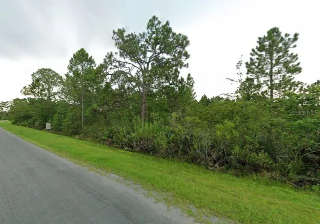 a view of a bunch of flowers