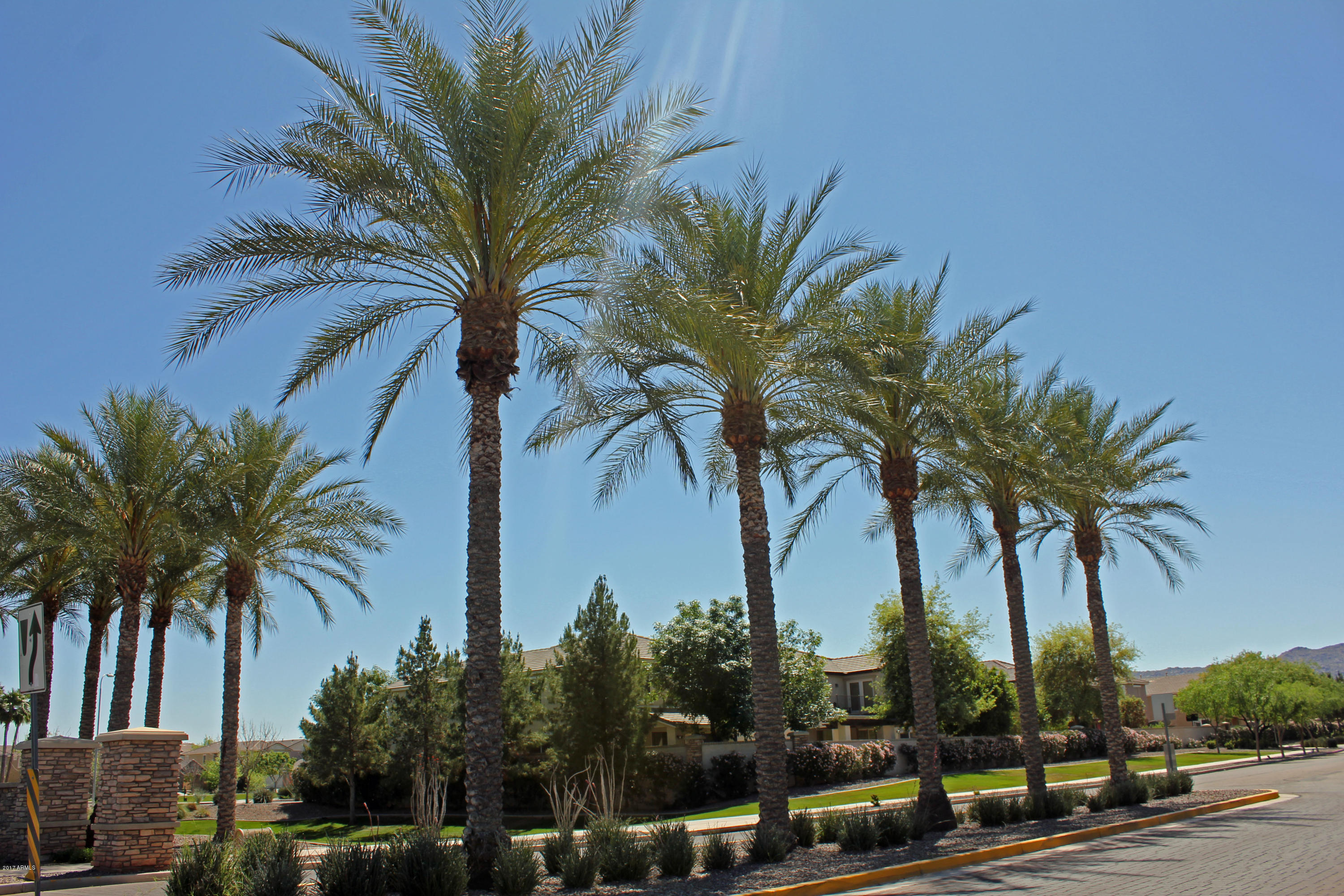 5819 South 23rd Way Phoenix, AZ 85040 - Photo 12 of 15 Copper Leaf's Beautiful Entrance