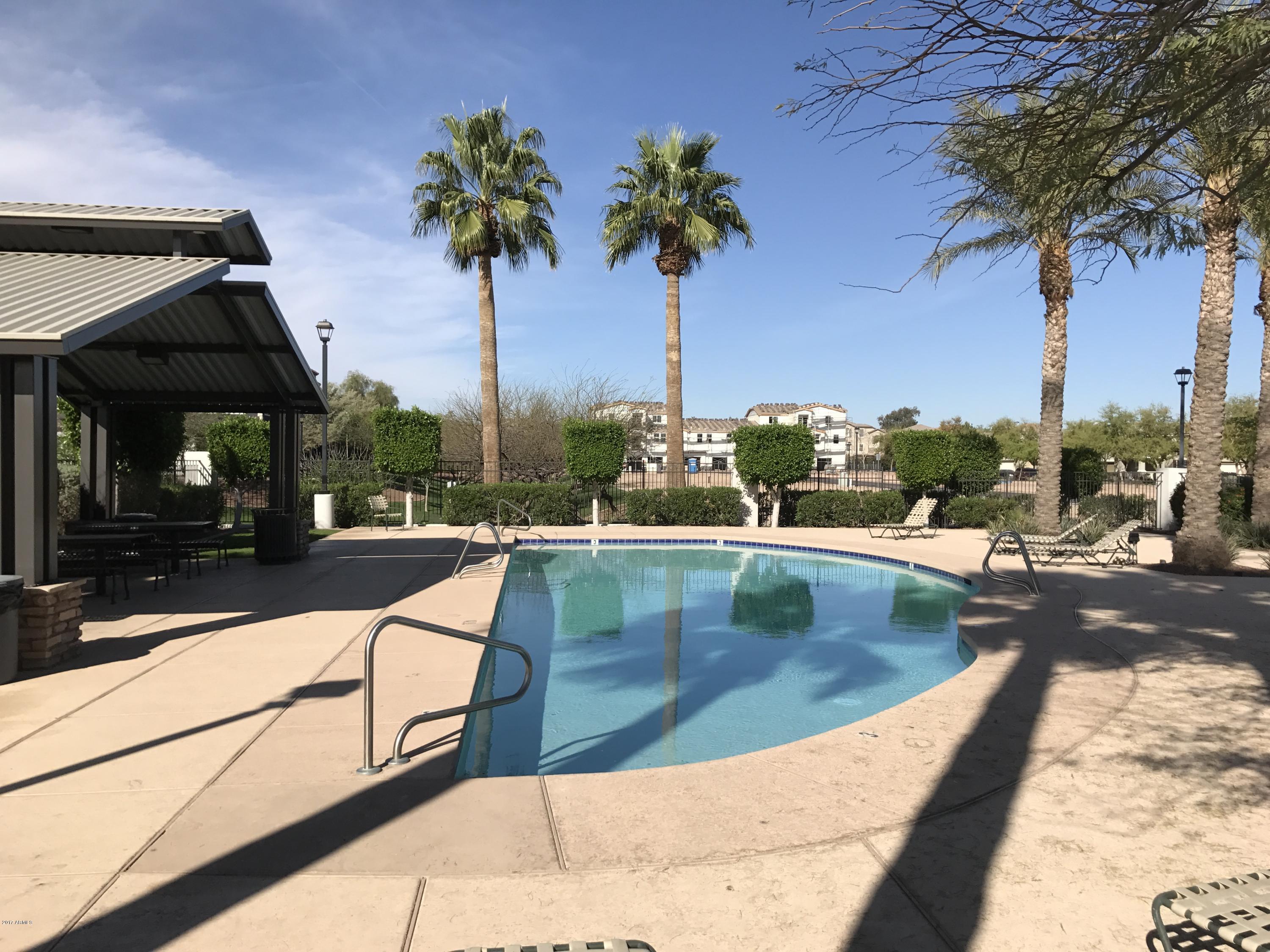 5819 South 23rd Way Phoenix, AZ 85040 - Photo 6 of 15 Community Pool at Condos